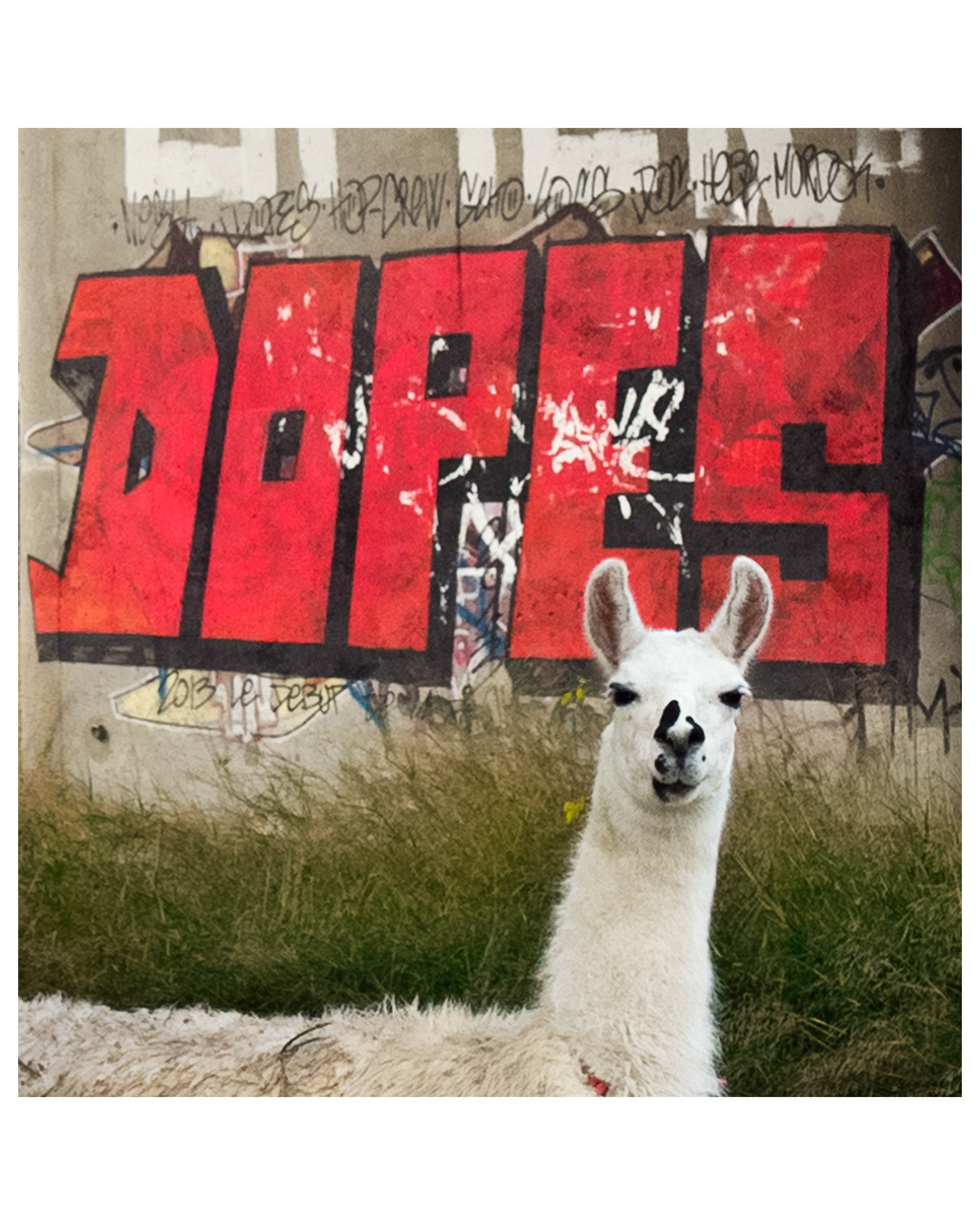 I love animals by Naikari Díaz