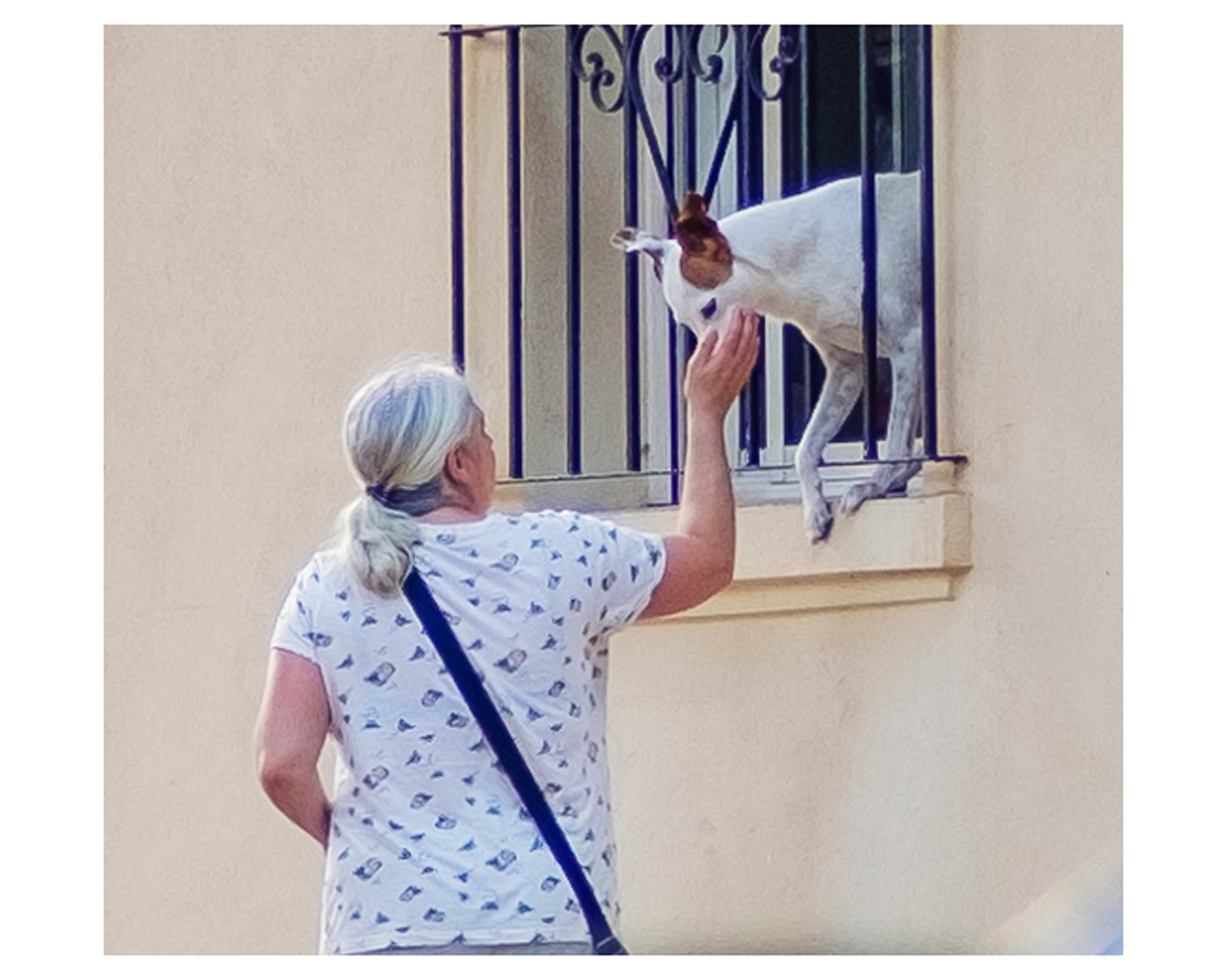 I love animals by Naikari Díaz