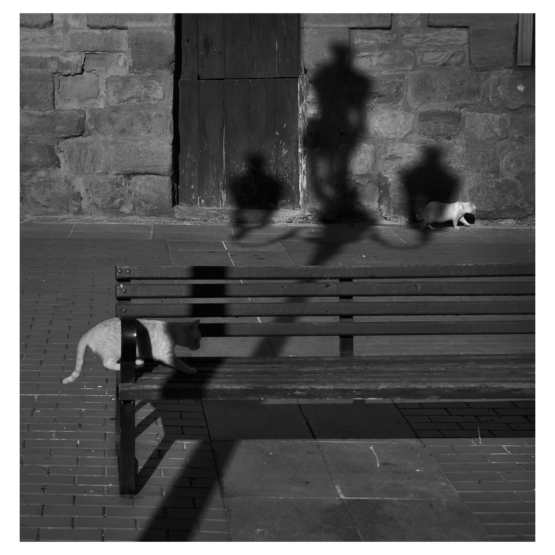 I love animals by Naikari Díaz