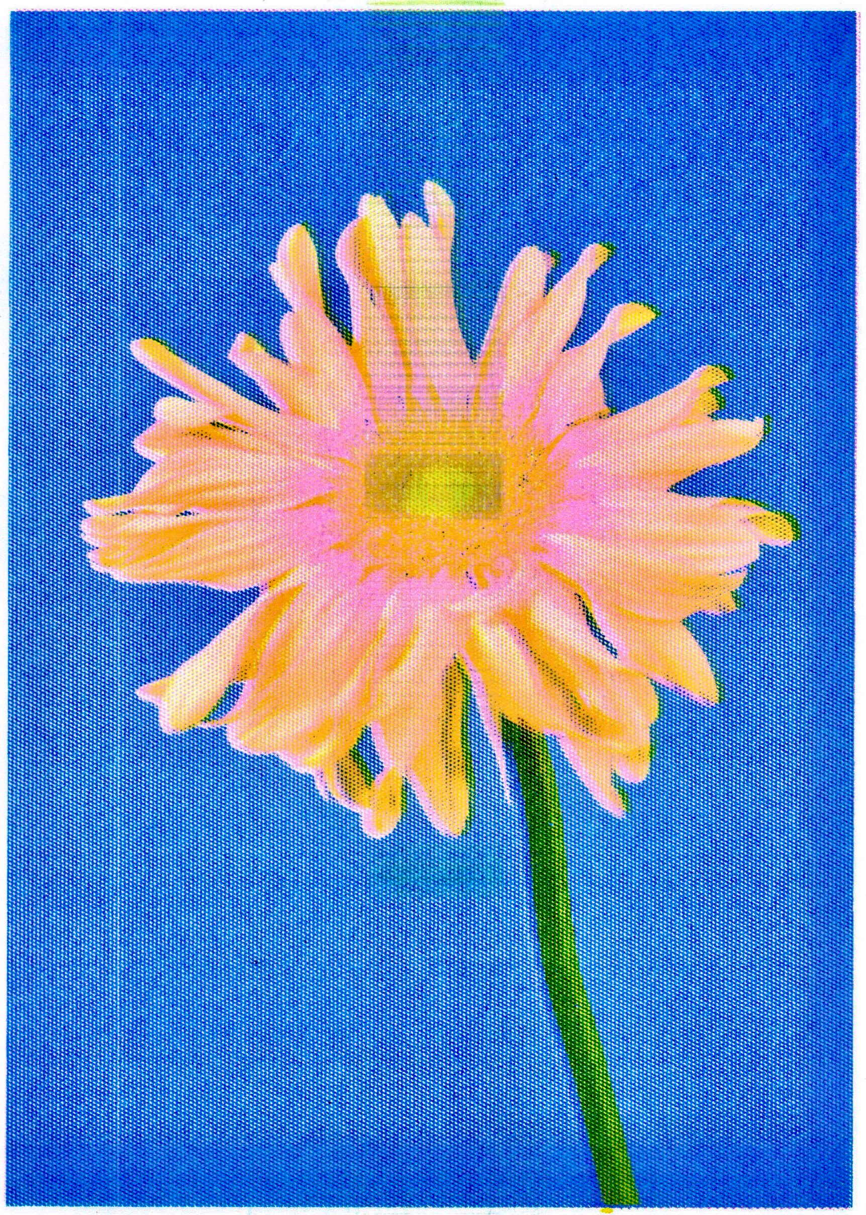 Tokyo Art Book Fair 2024