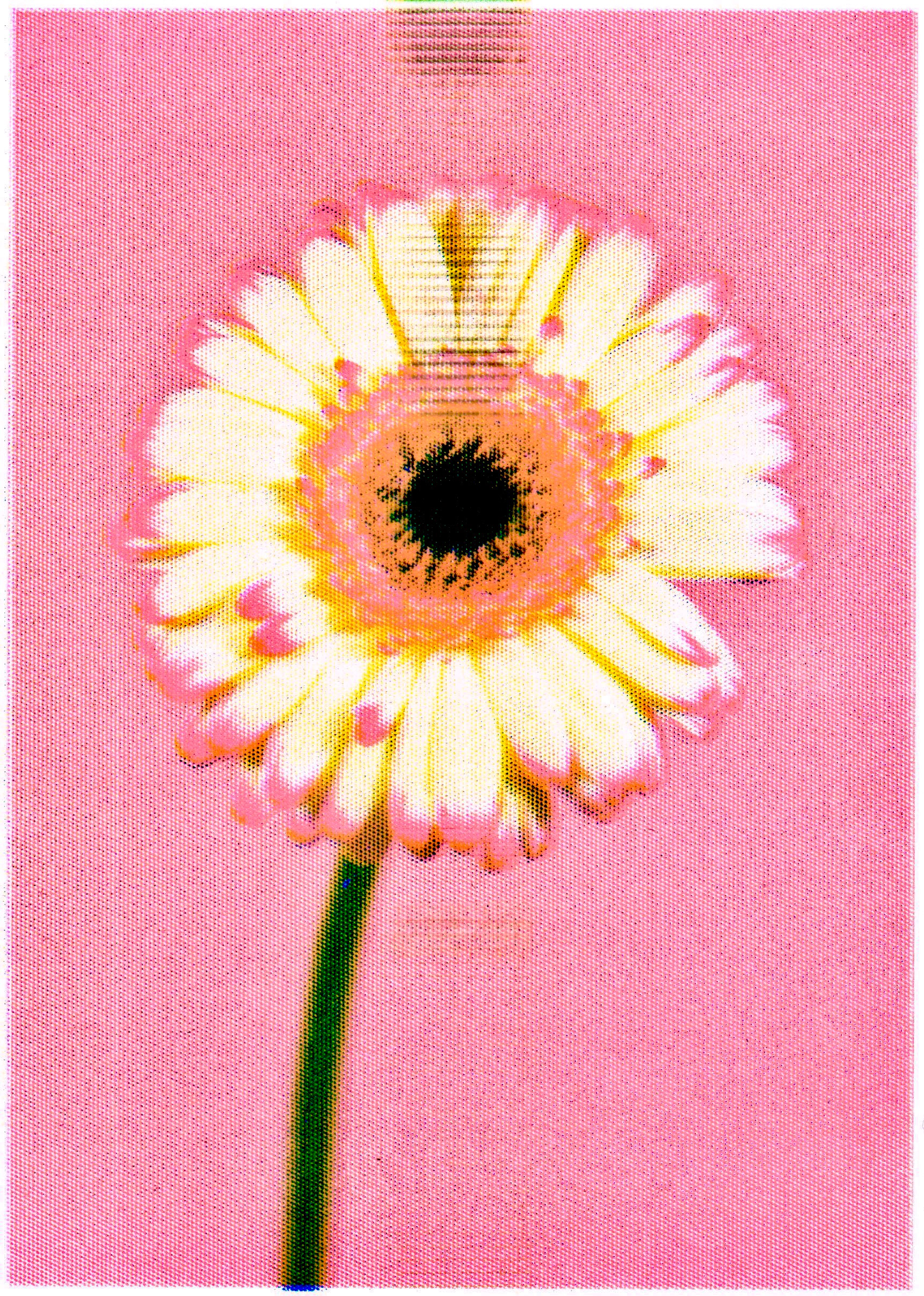 Tokyo Art Book Fair 2024