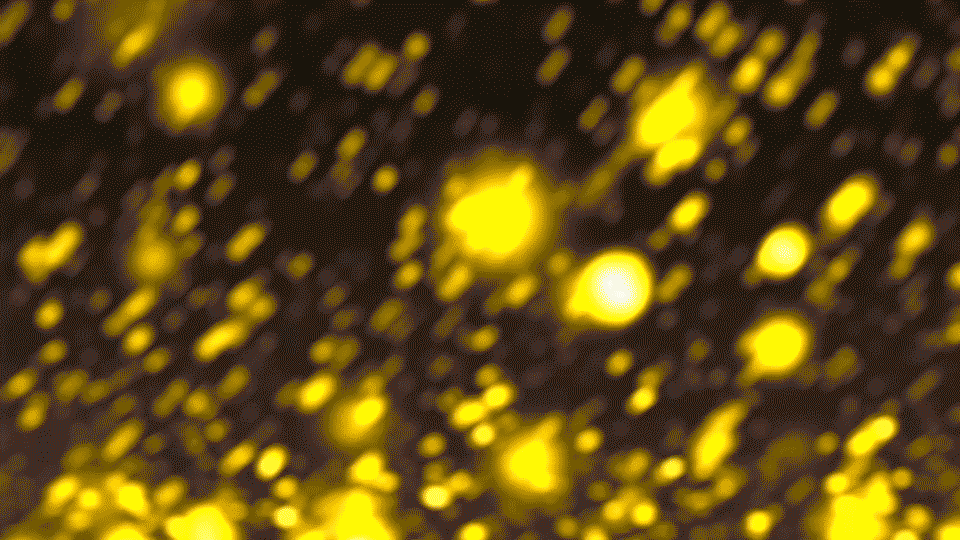 viral-mistry-freelance-video-editor-motion-designer-event-opener