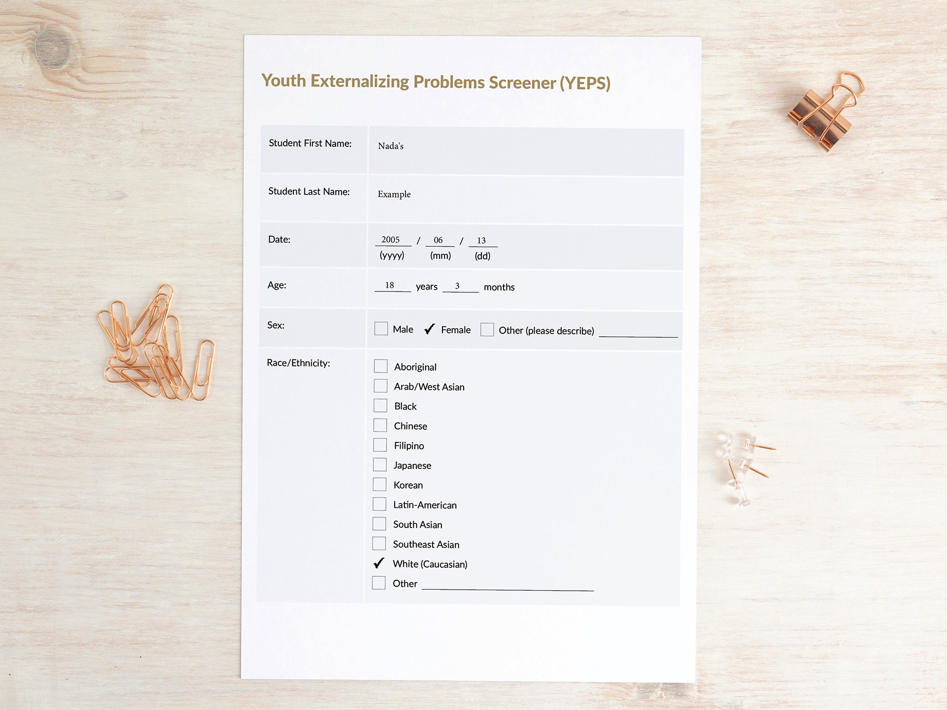 Business questionnaire designed as Fllable PDF Form in InDesign. Simple minimalist design.