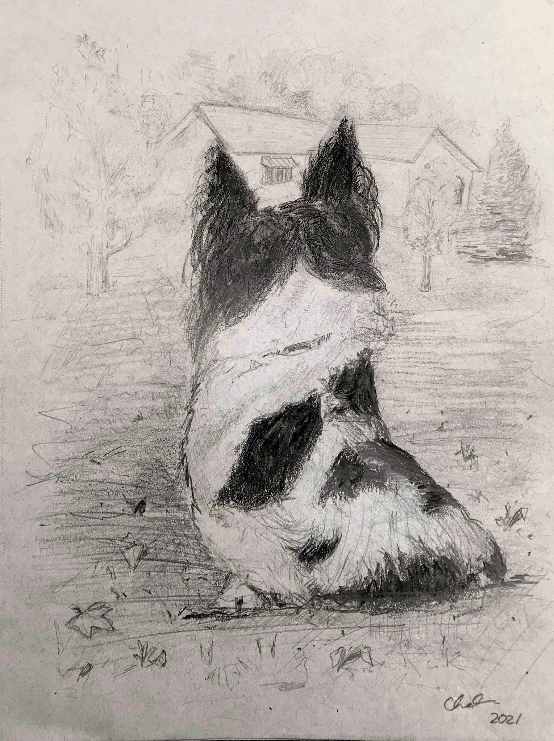 Lucy Waiting for Afternoon Walk