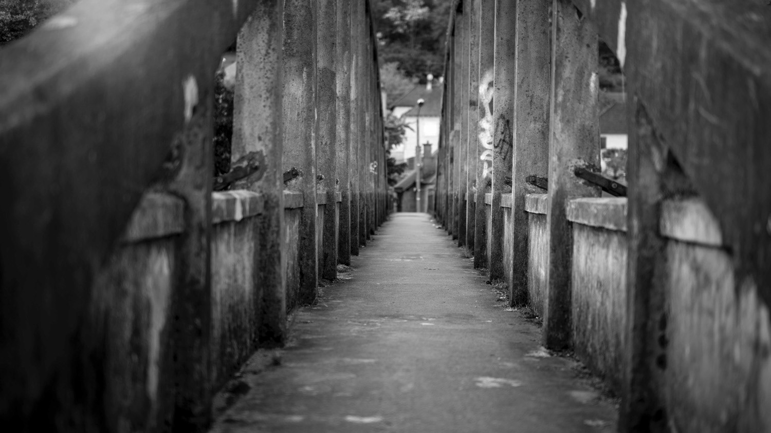 ©Pierre Magnol
