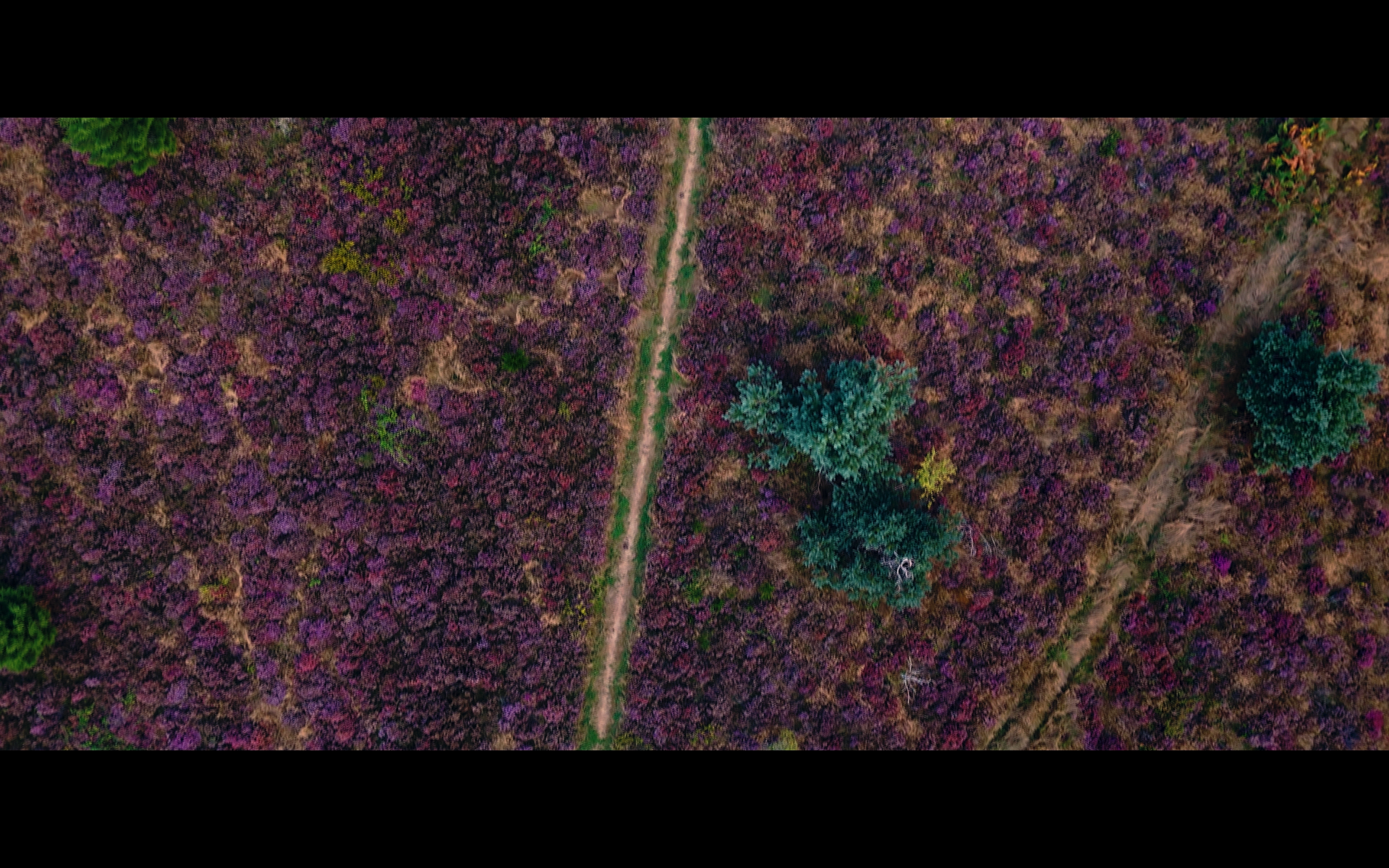 © Terres de Corrèze Romain Granchamp Réalisateur Vidéaste Limousin