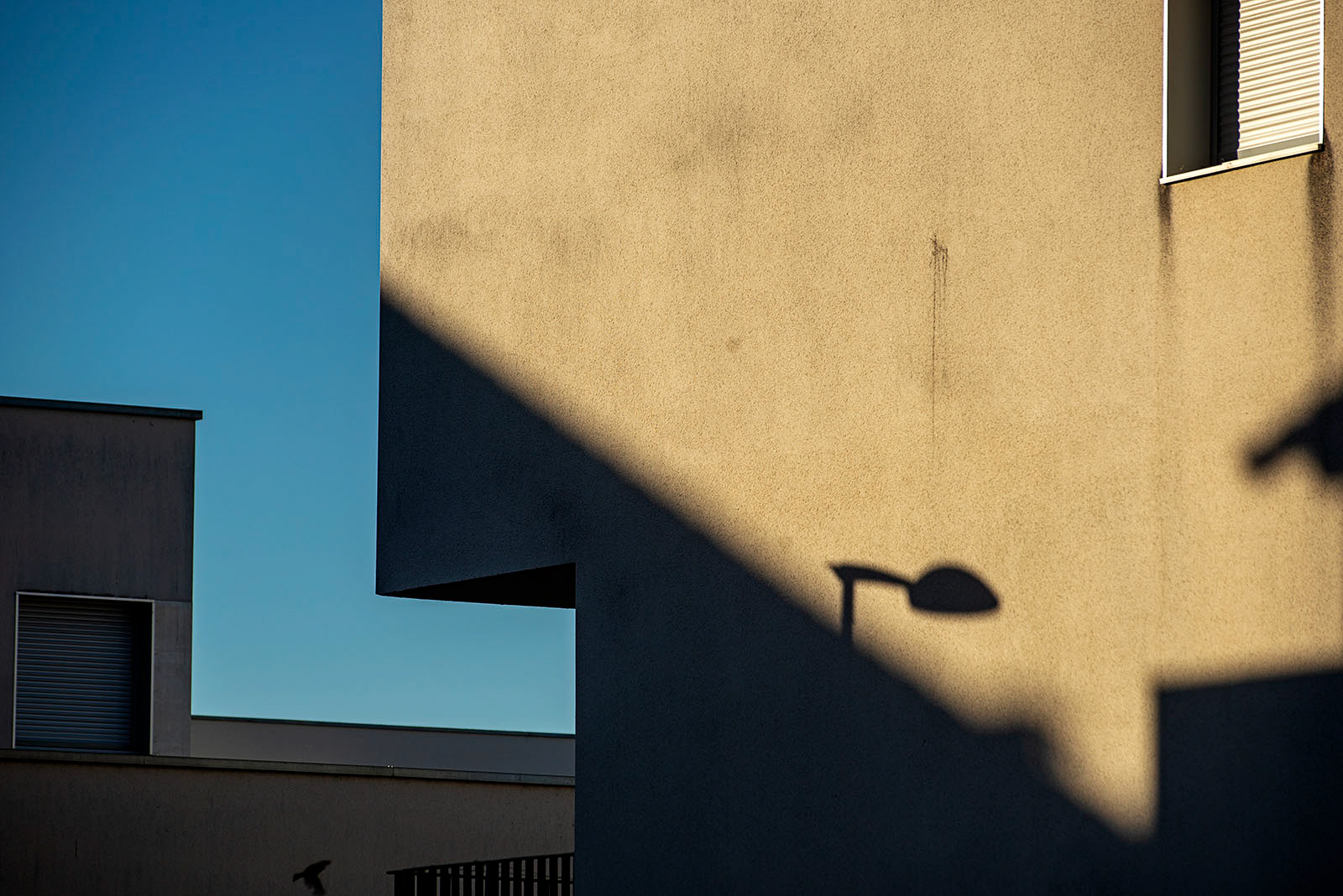 ©Romann Ramshorn