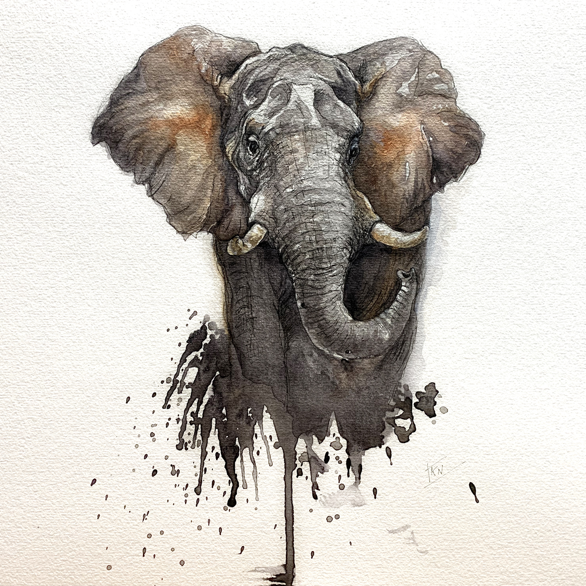 aquarelle A4