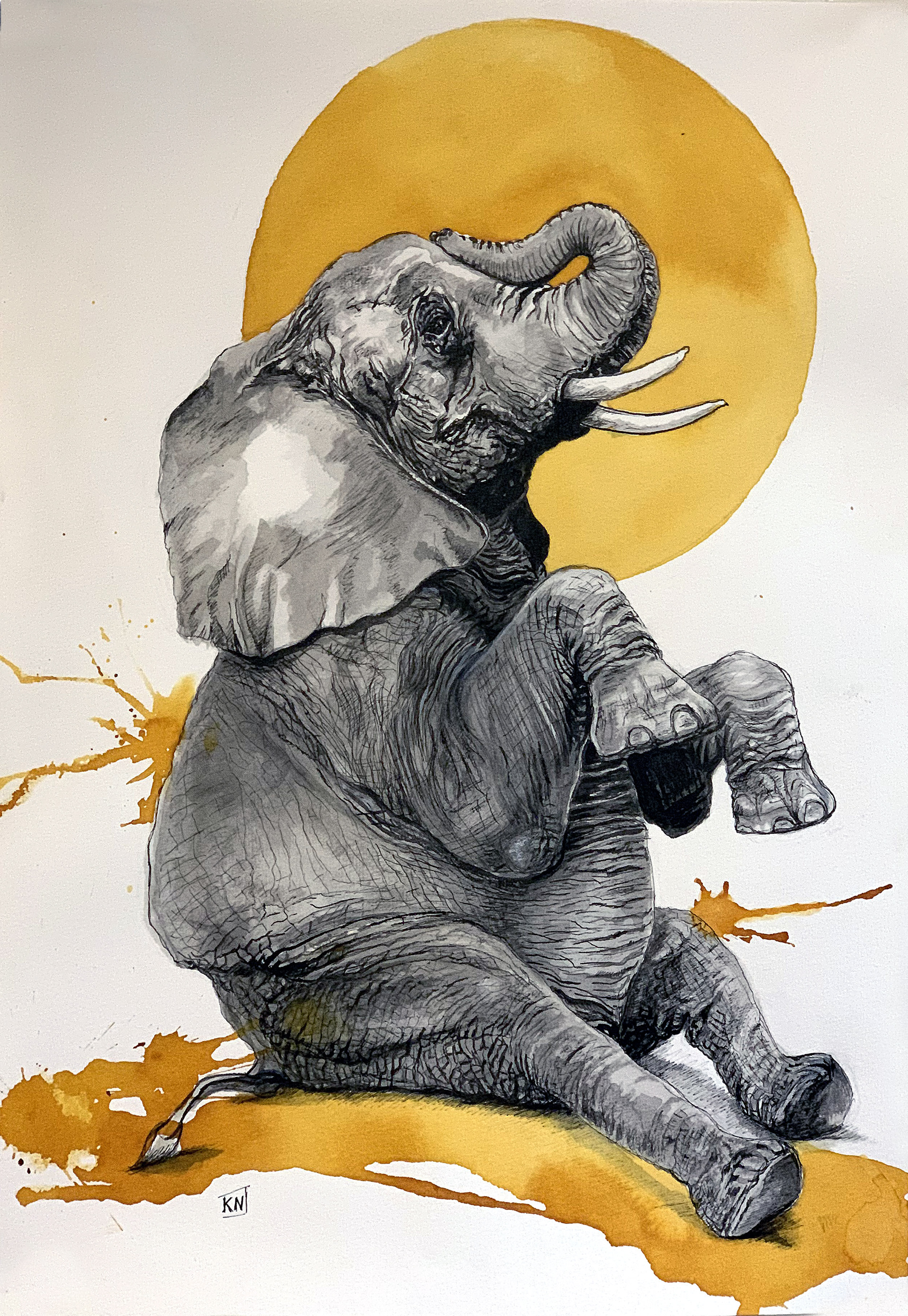 Encre sur papier 40X30 cm