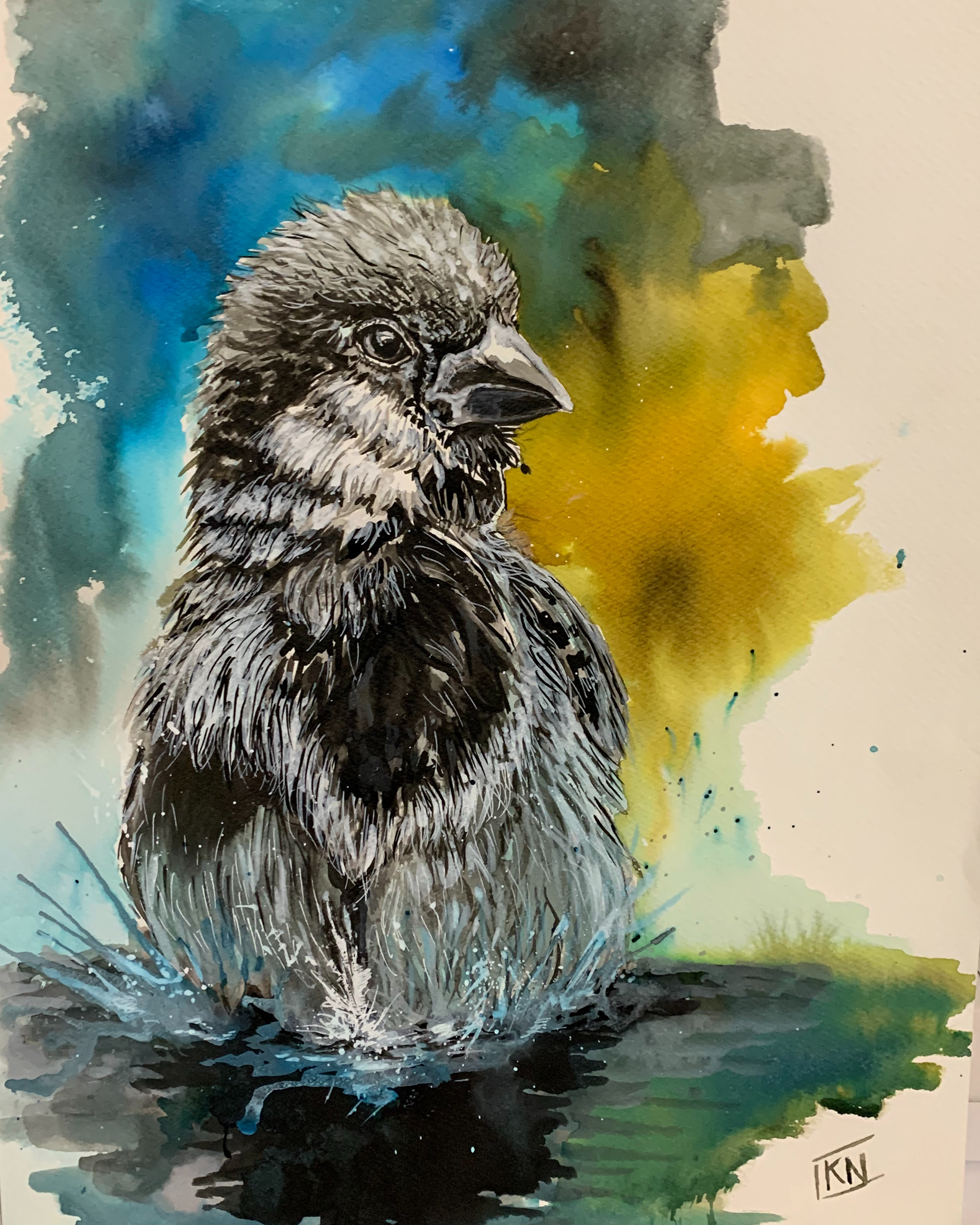 Encre sur papier 40 X 30 cm