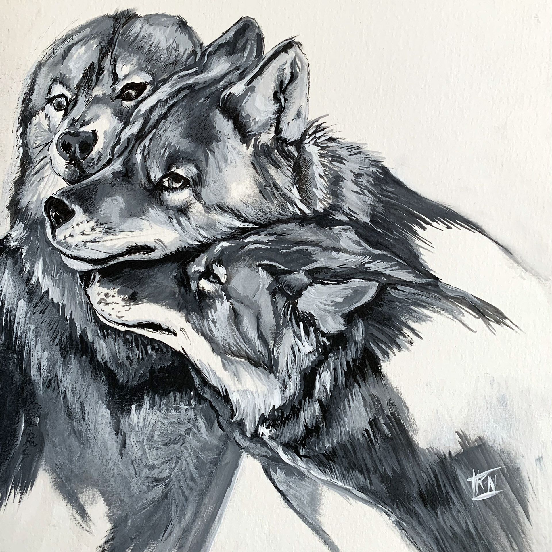 Technique mixte aquarellable