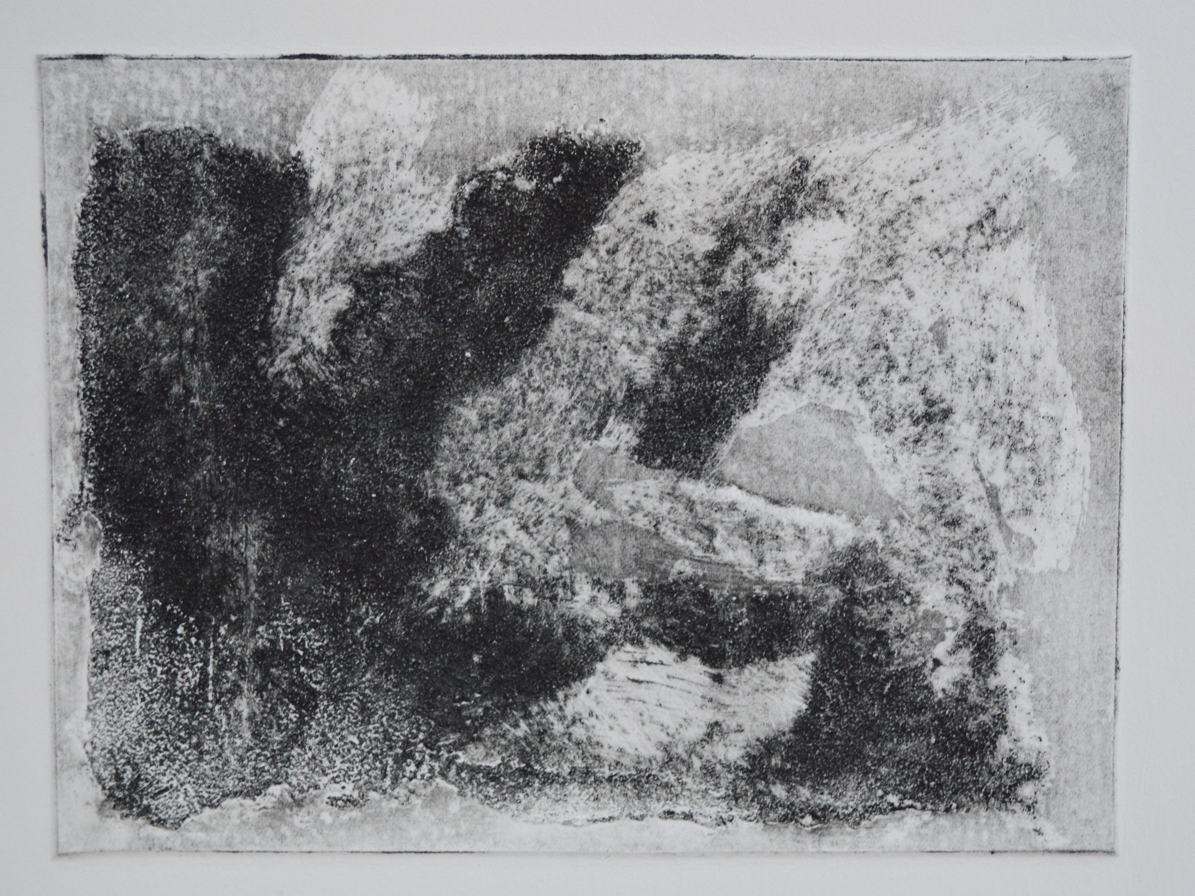 Test plate in Black