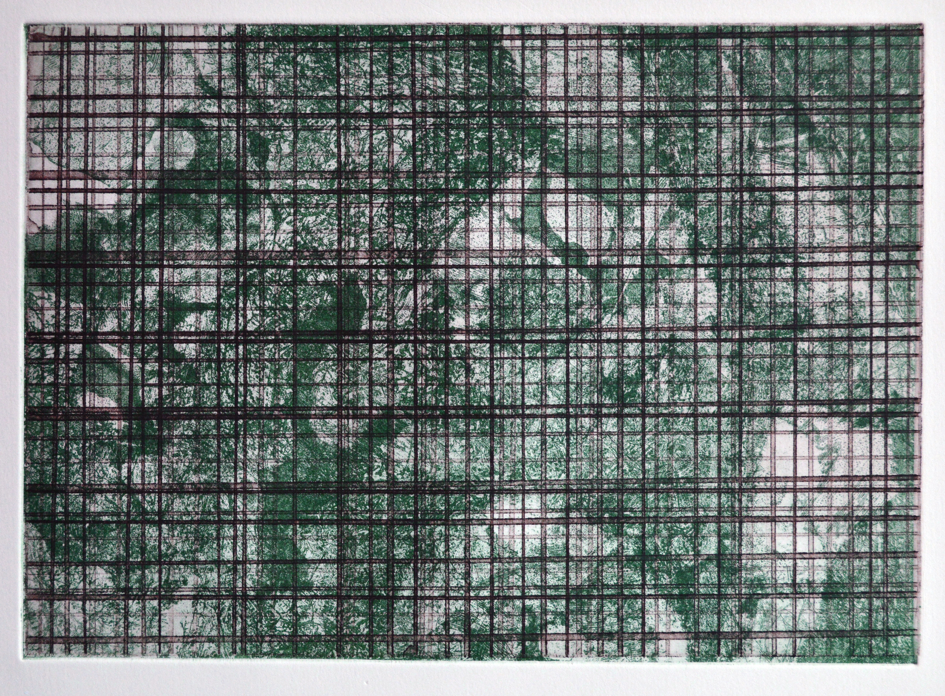 Reticulation: Green and Brown