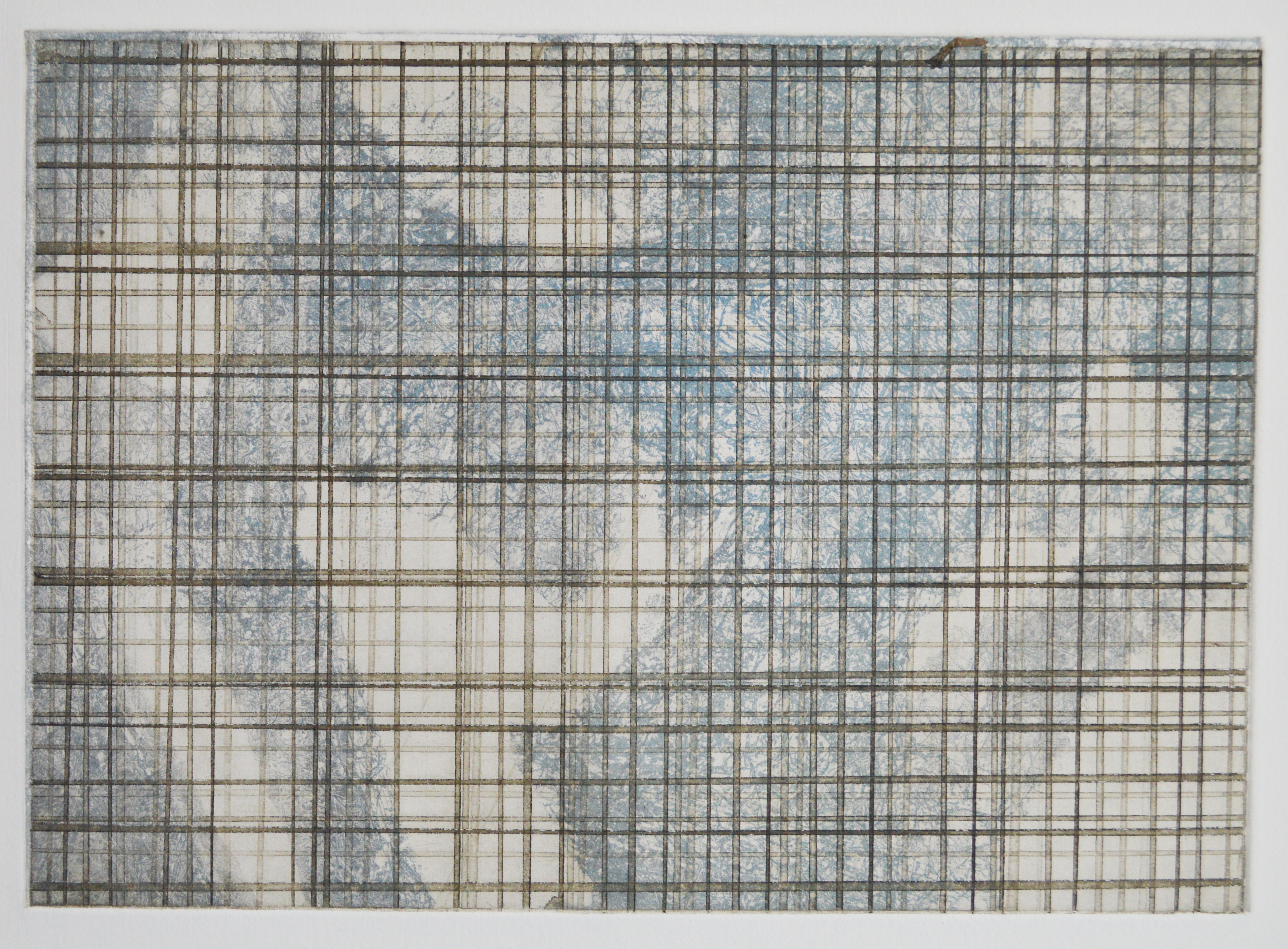 Reticulation: Blue and Brown