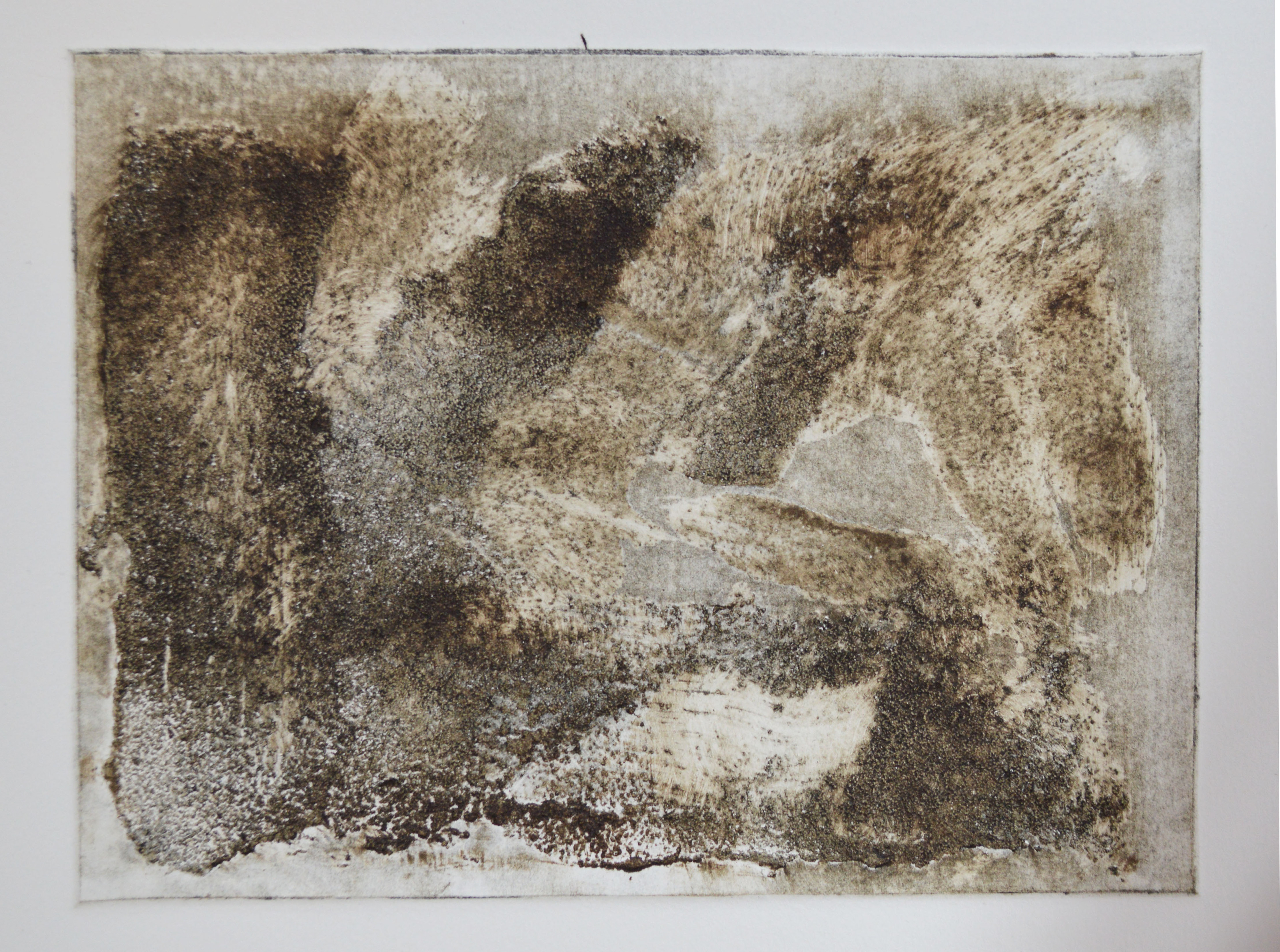 Test plate in Brown