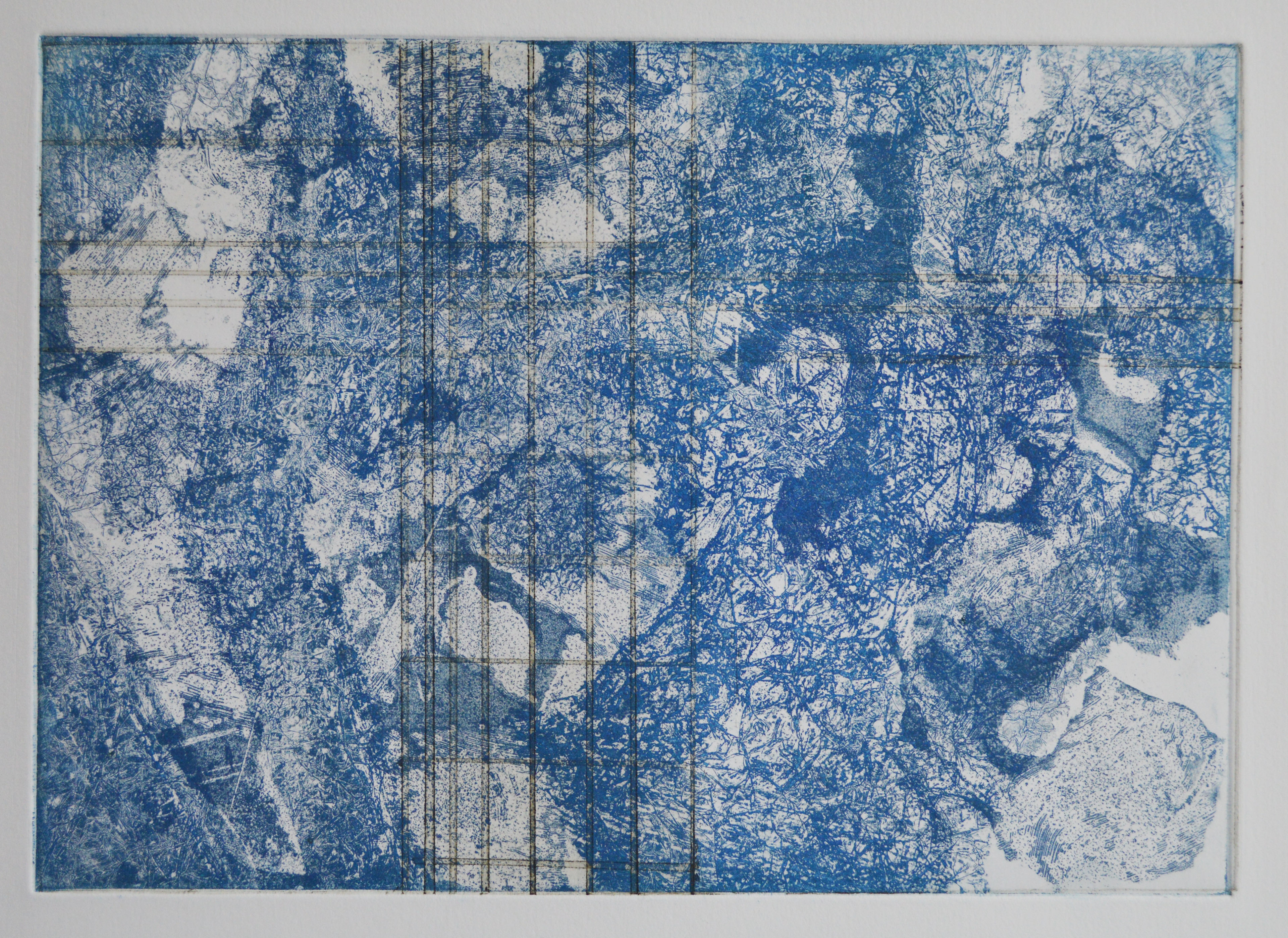 Reticulation: Blue