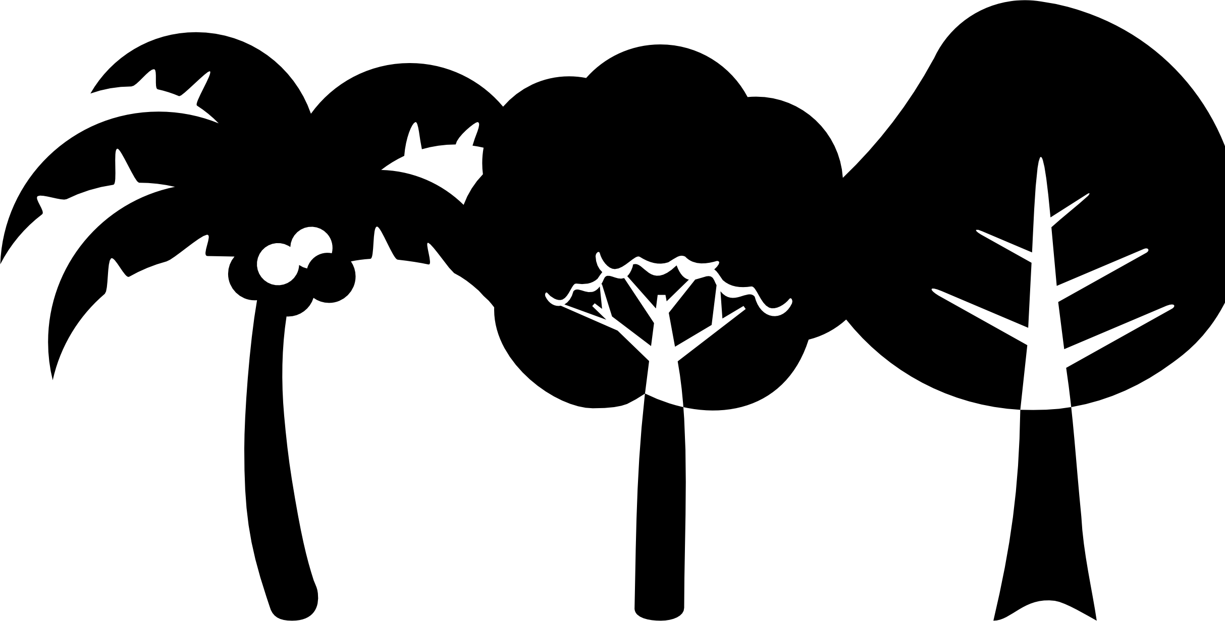 Paraíso Convenciones