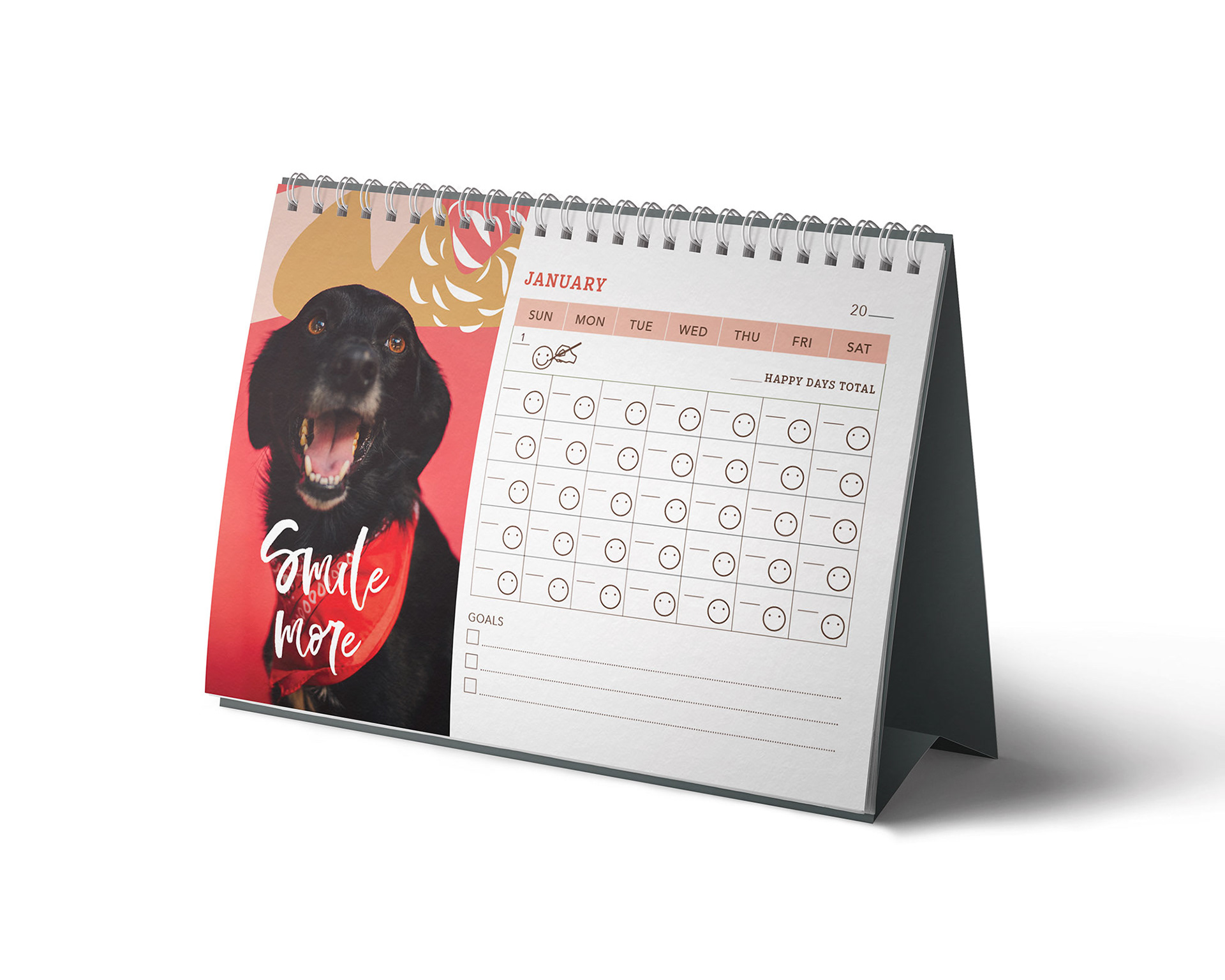 January (Mockup)