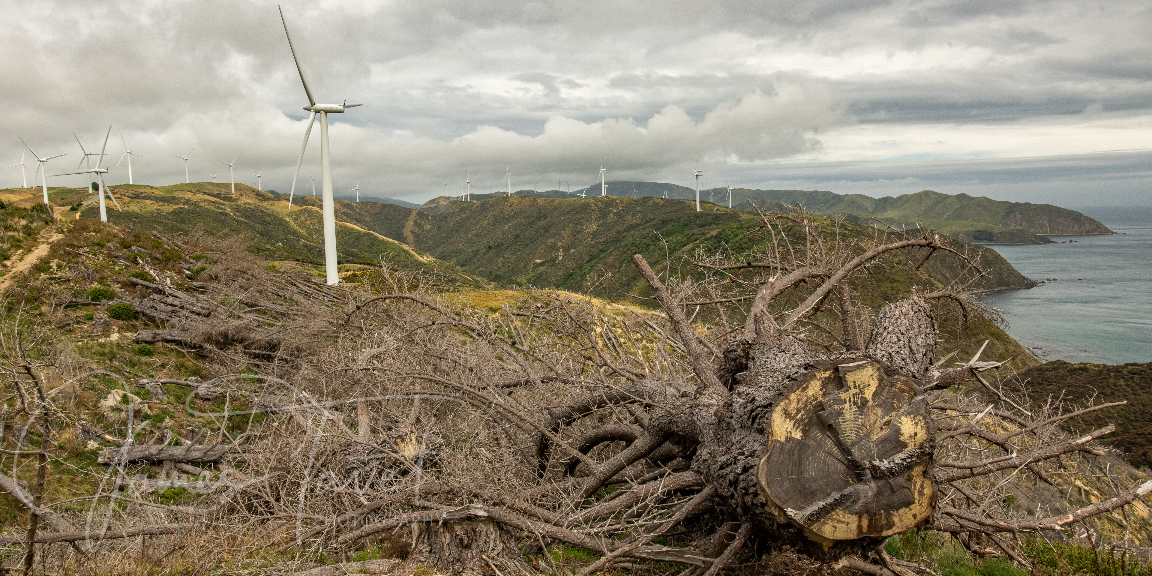 Makara Beach - Wellington
