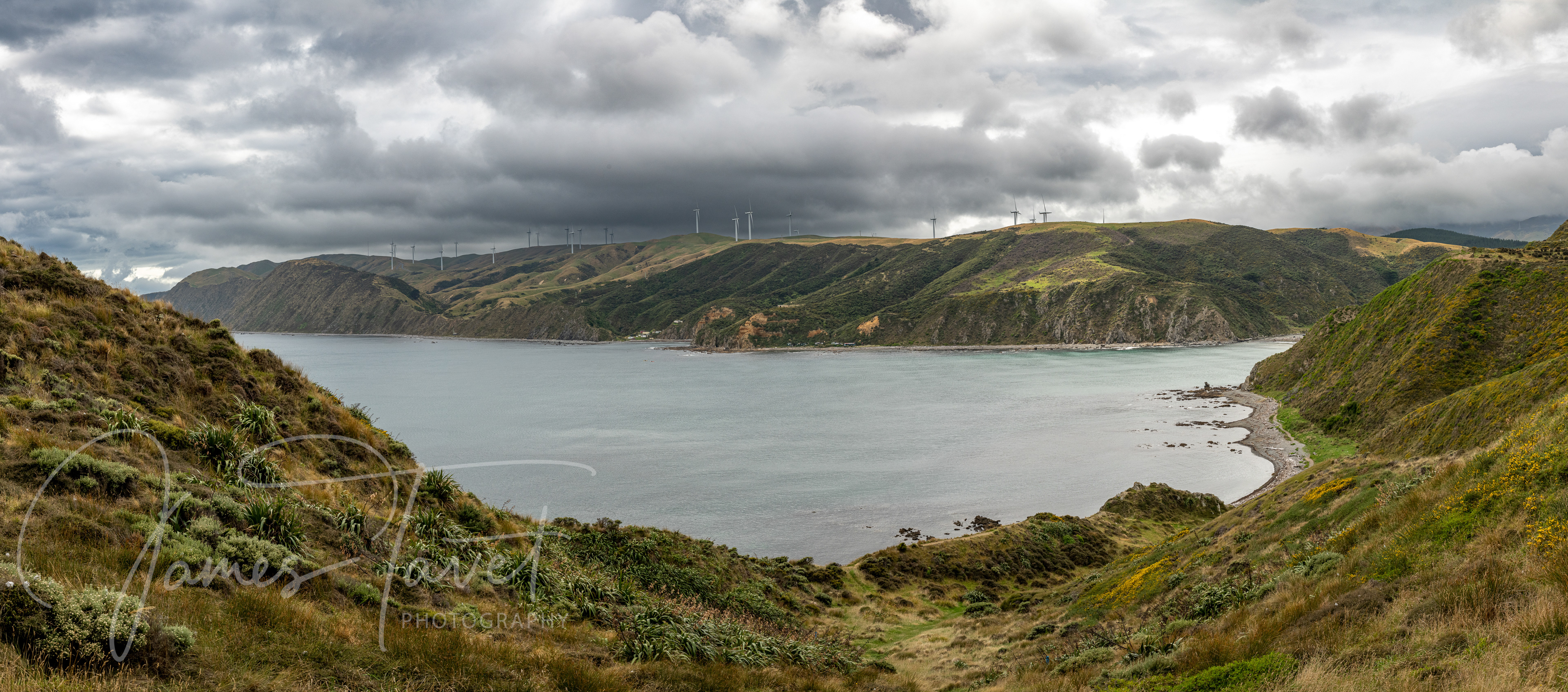 Makara Beach - Wellington