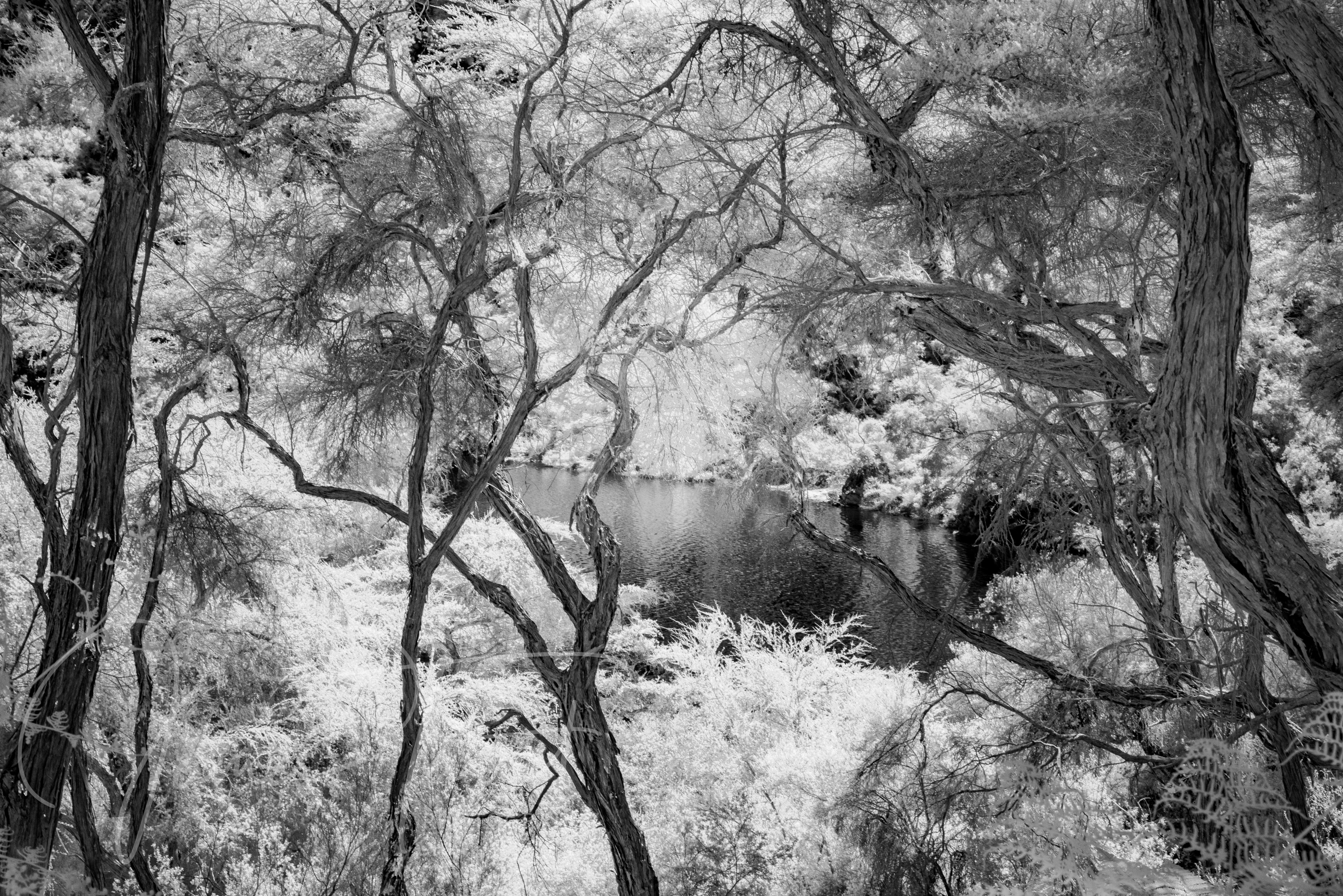 Matiu/Somes Island
