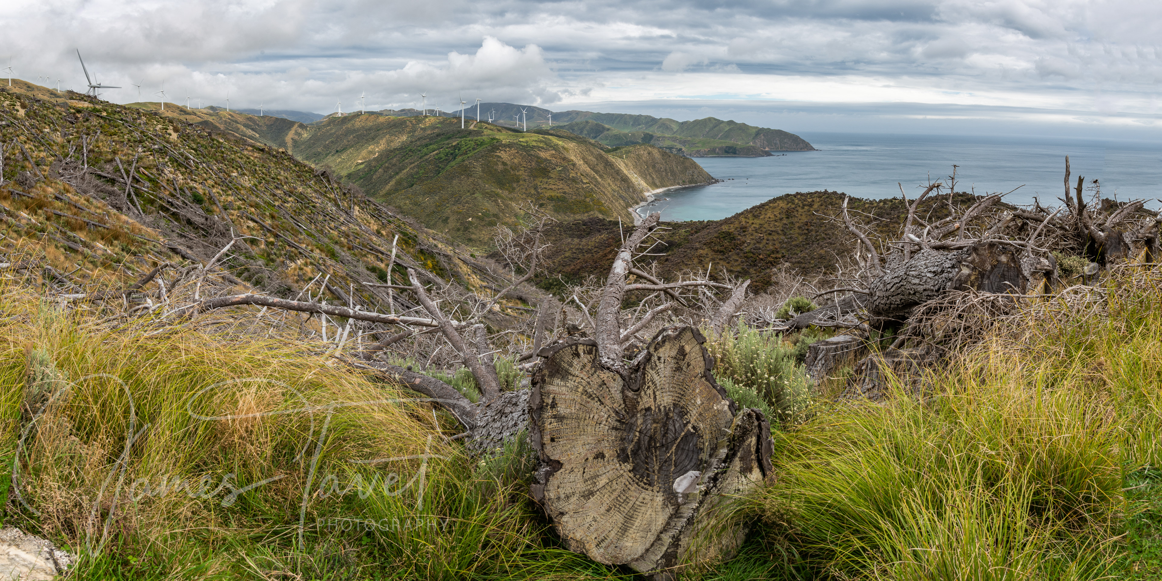 Makara Beach - Wellington