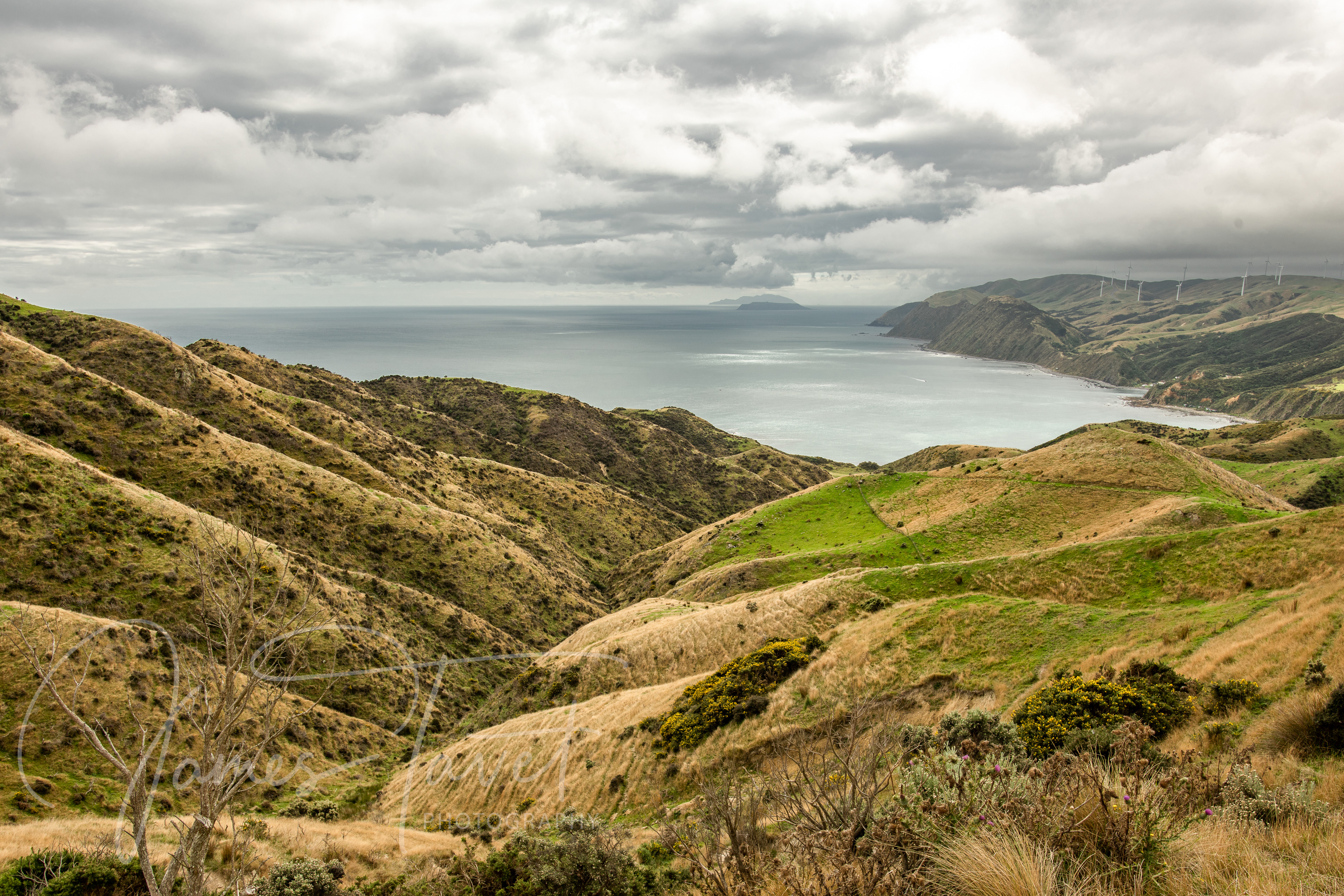 Makara Beach - Wellington