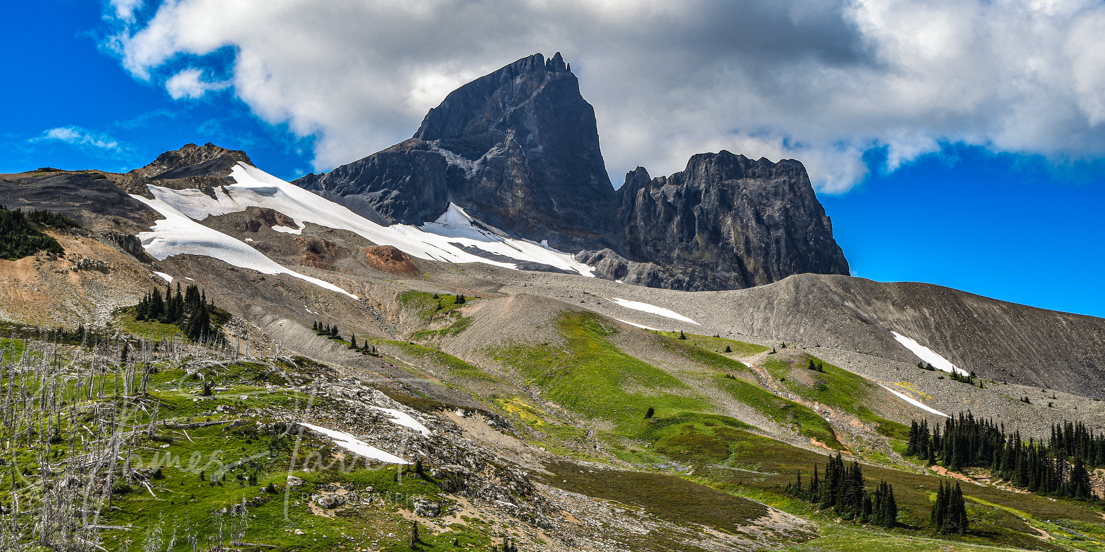 Garibaldi Park - Vancouver, BC