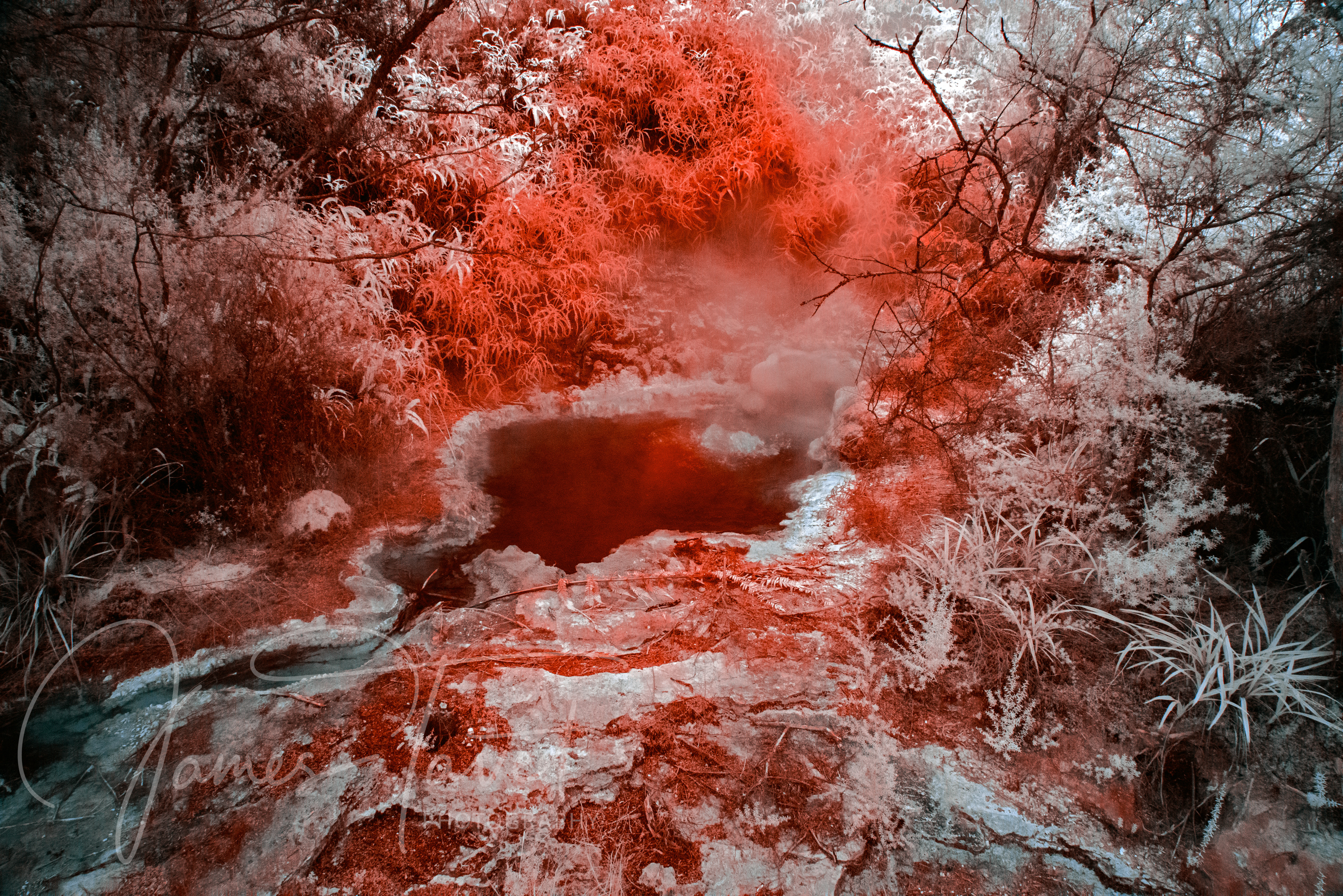 Waitapu Thermal Wonderland