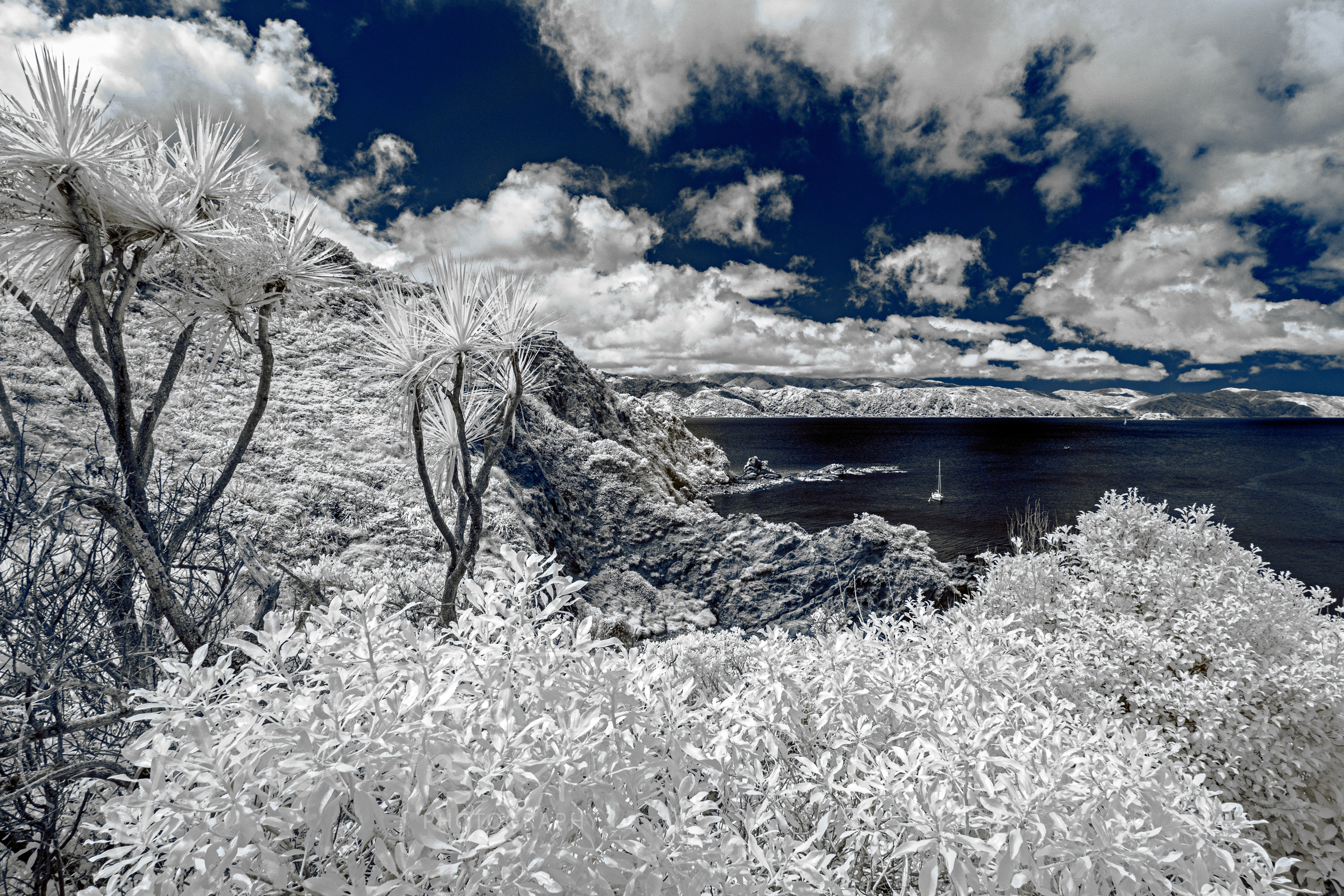 Matiu/Somes Island