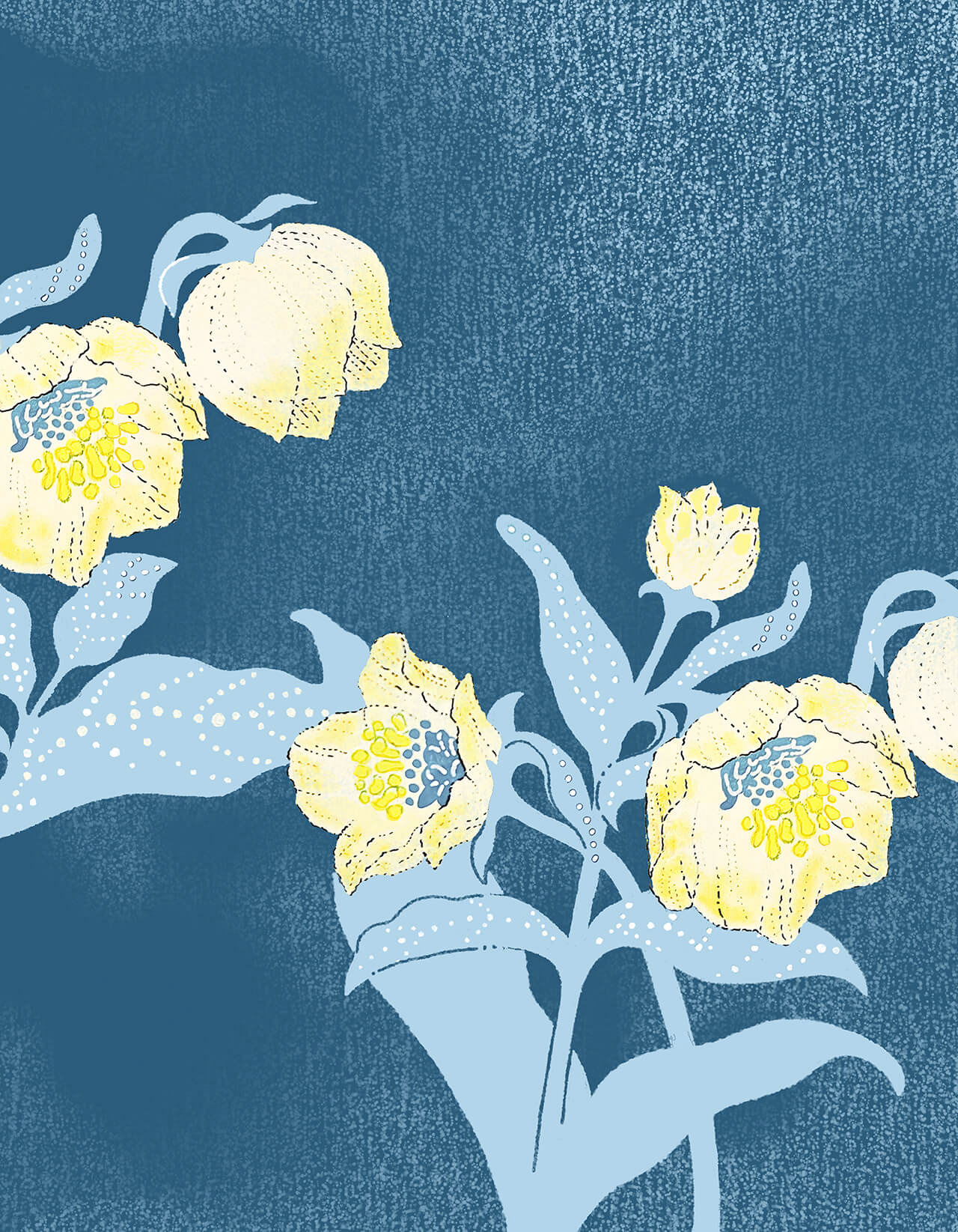 個展 hana no yume