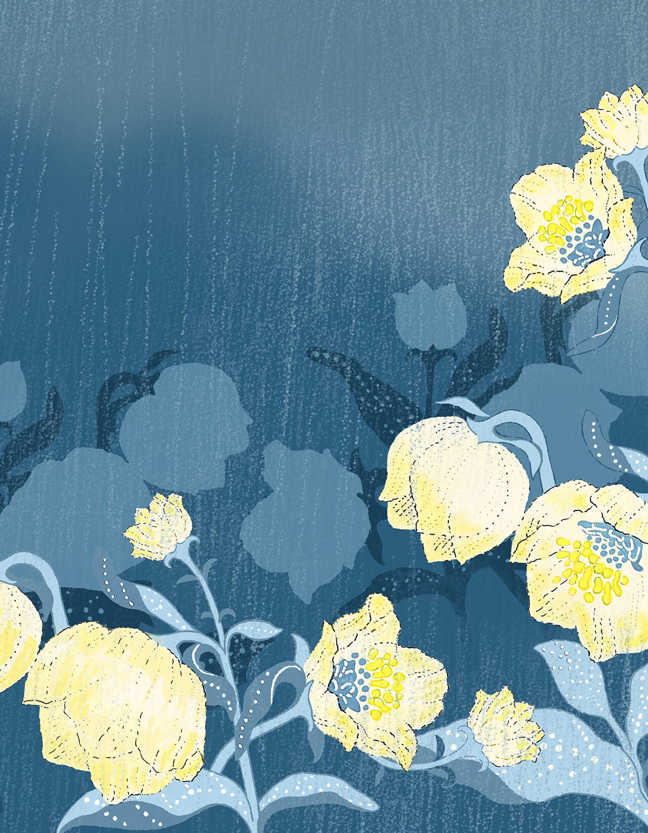 個展 hana no yume