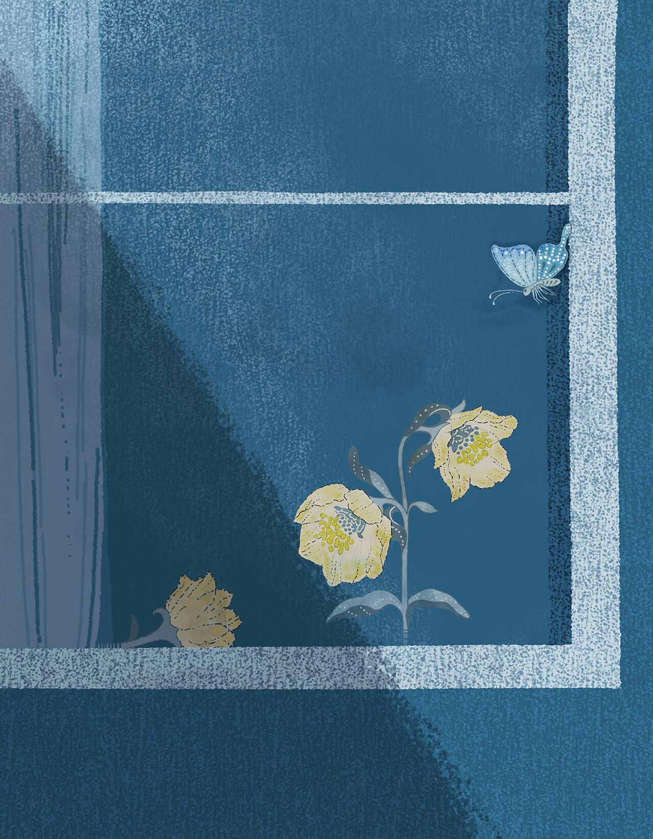 個展 hana no yume