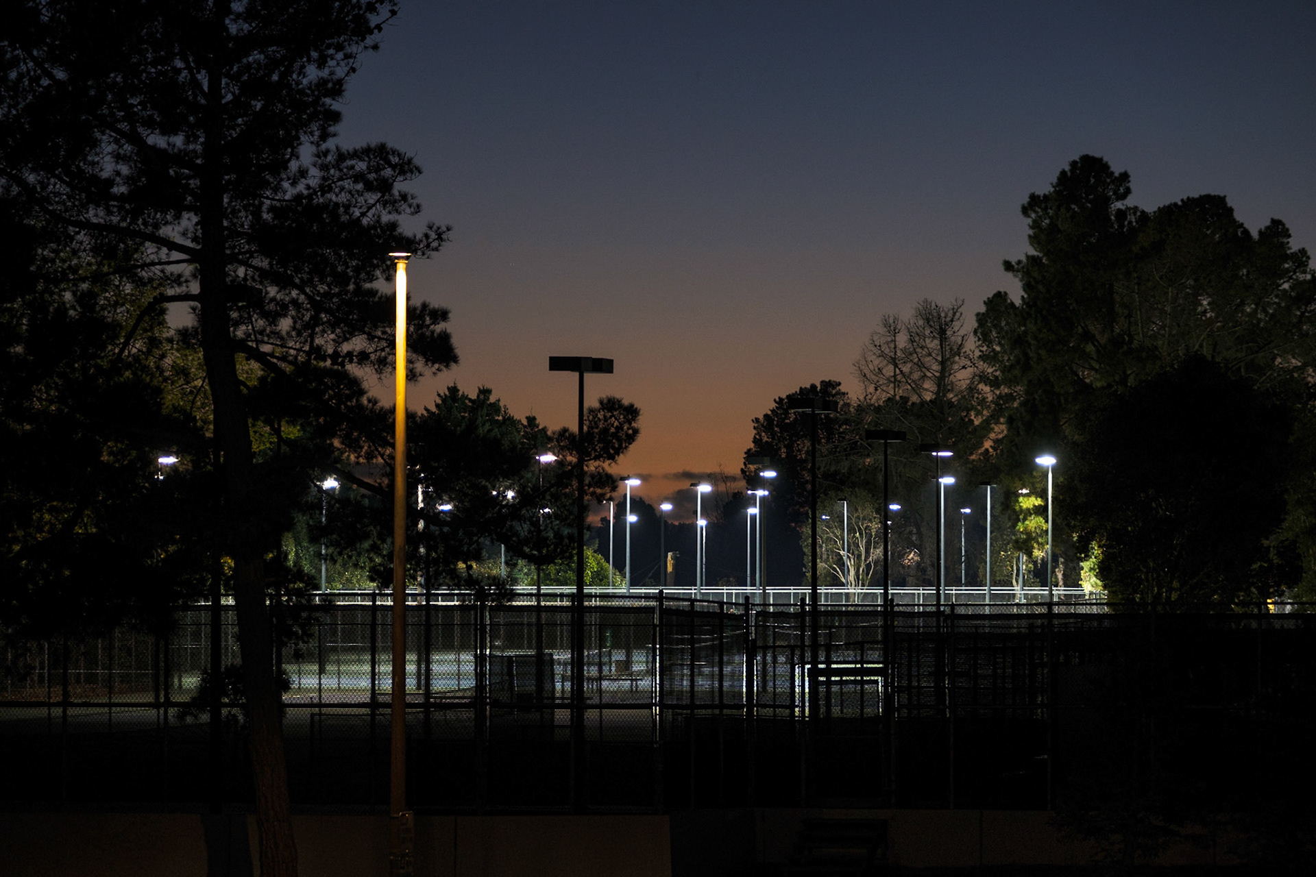 Night Court