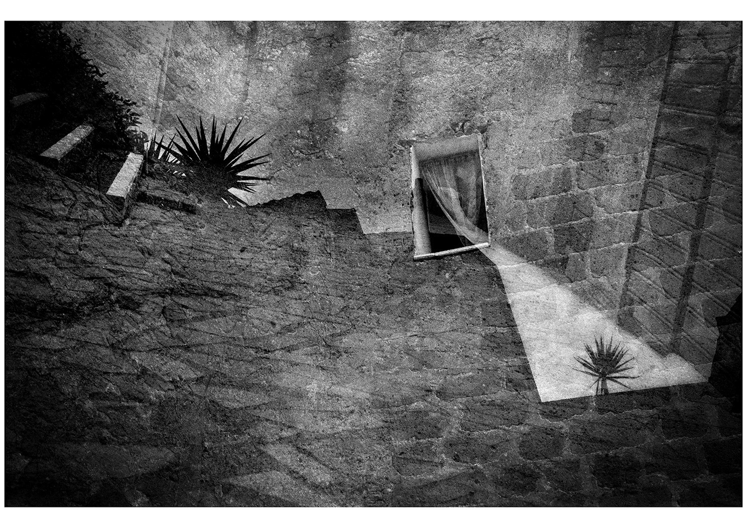 Window