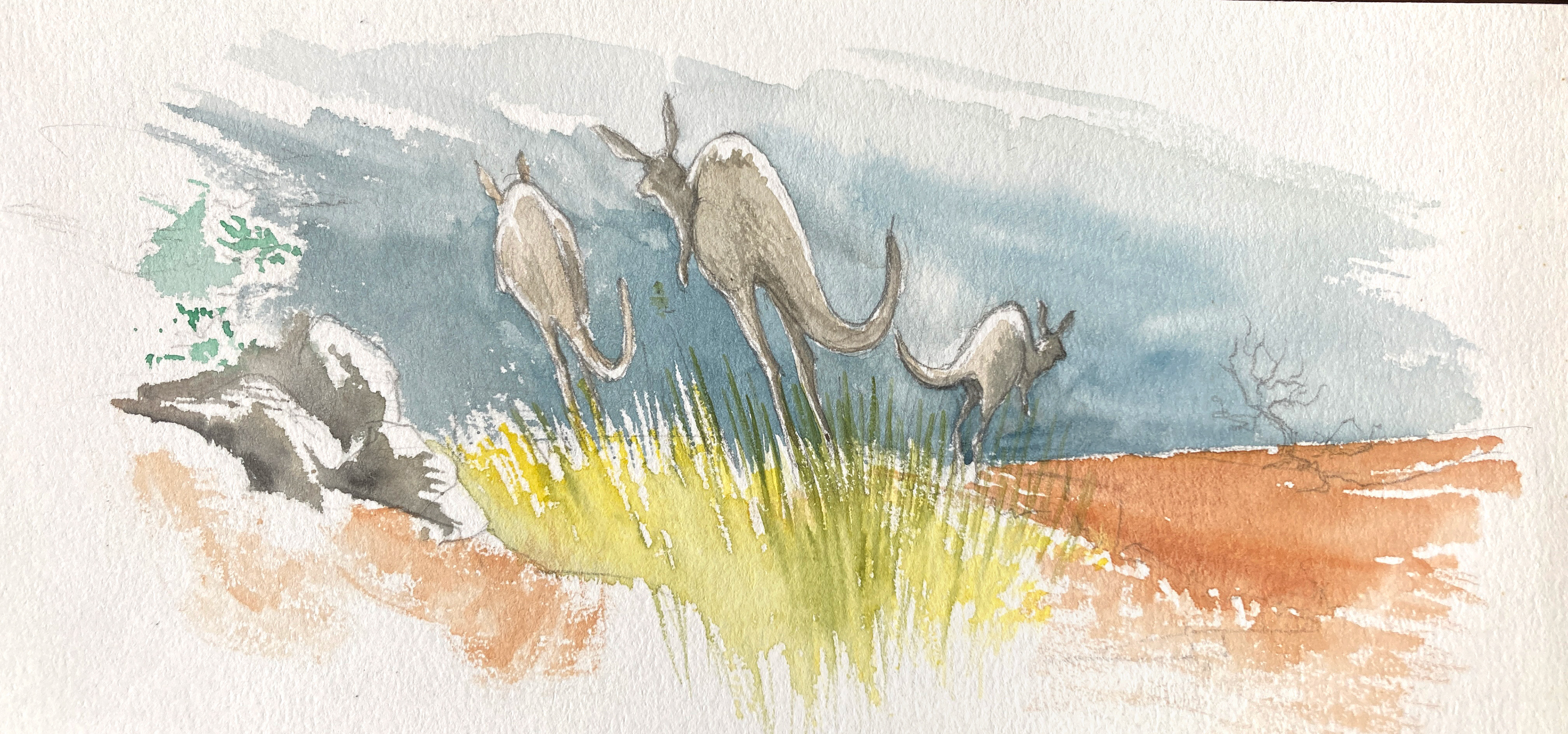 Aquarelle Laurent Berset Australie