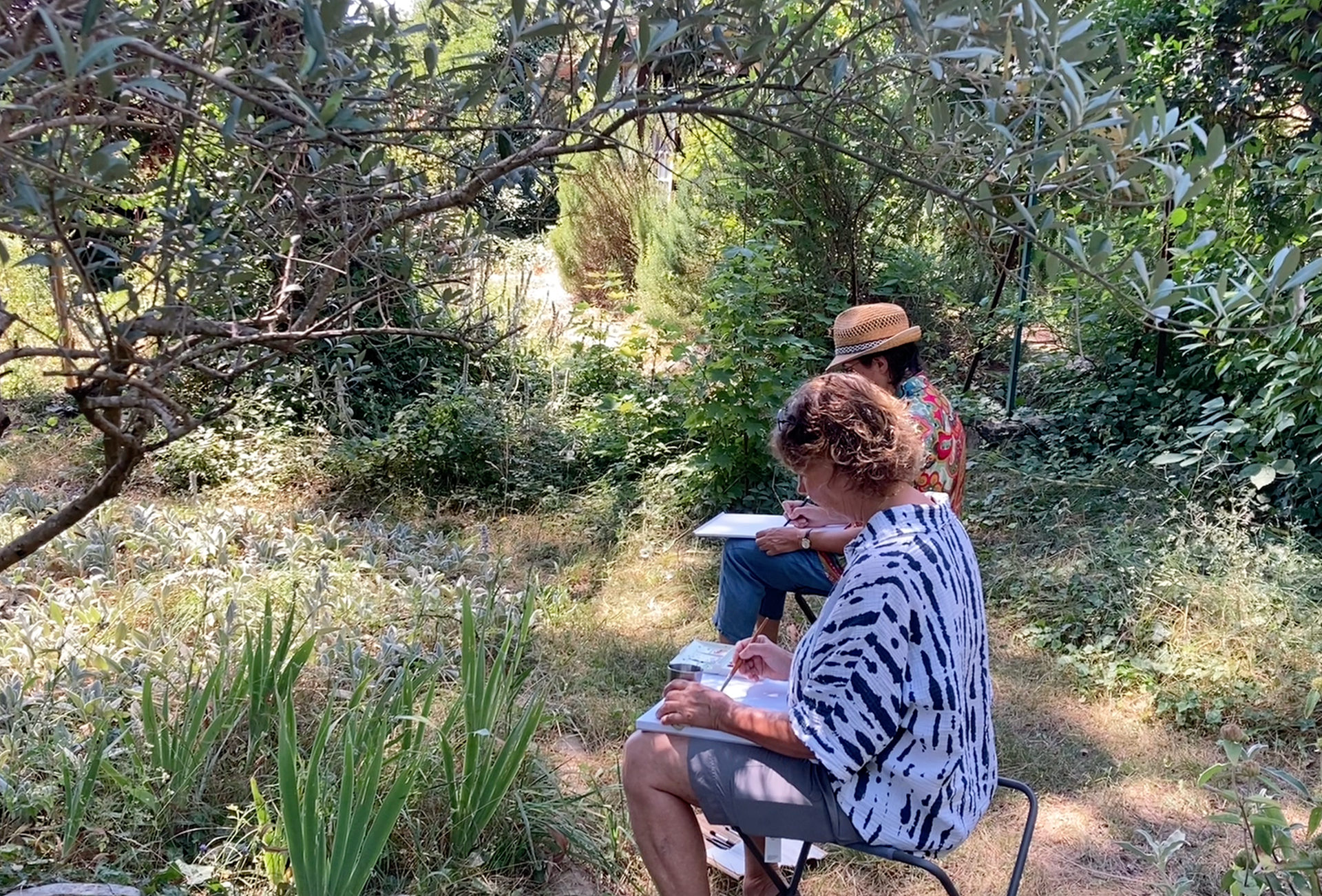 Stage aquarelle Provence