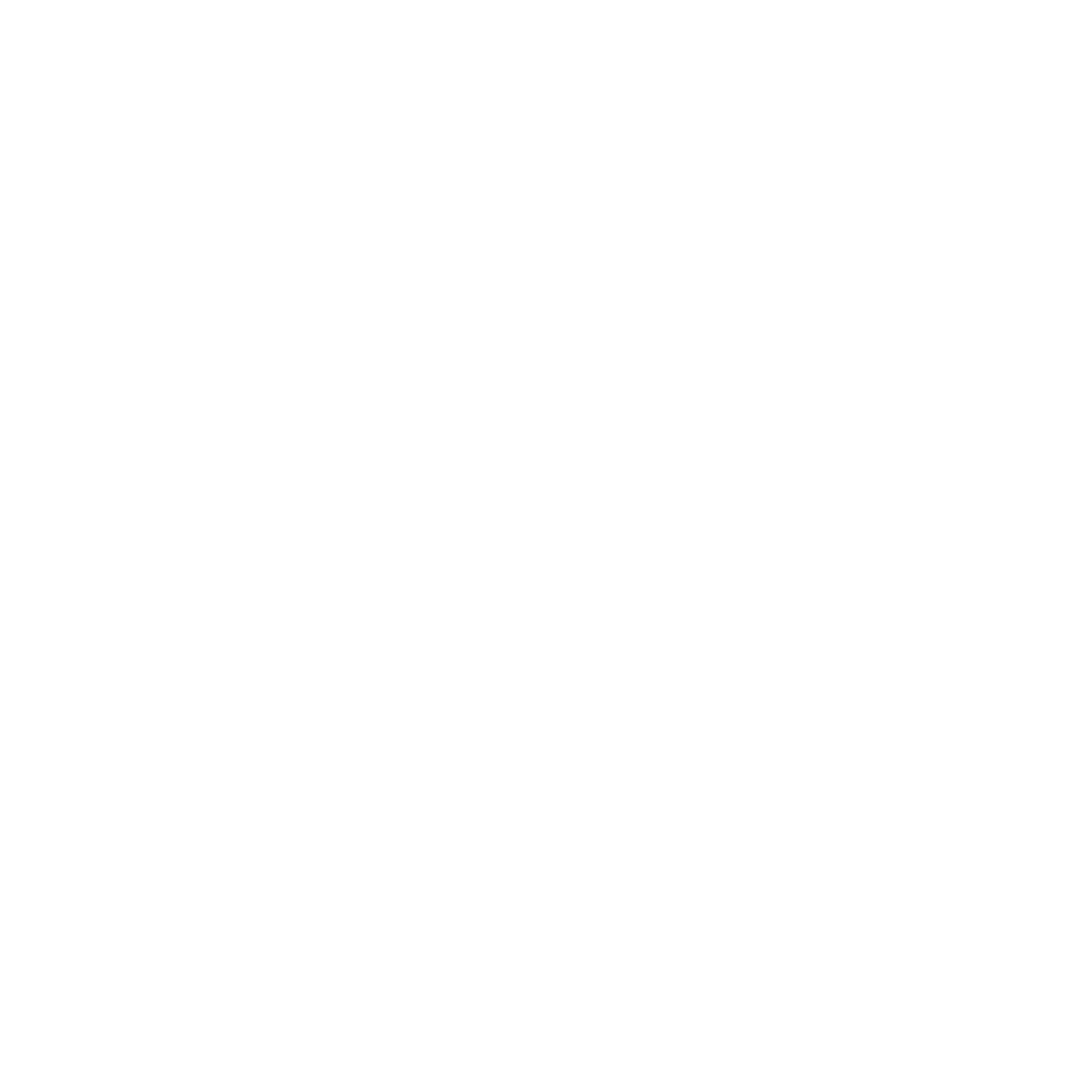 Leon Hochwimmer