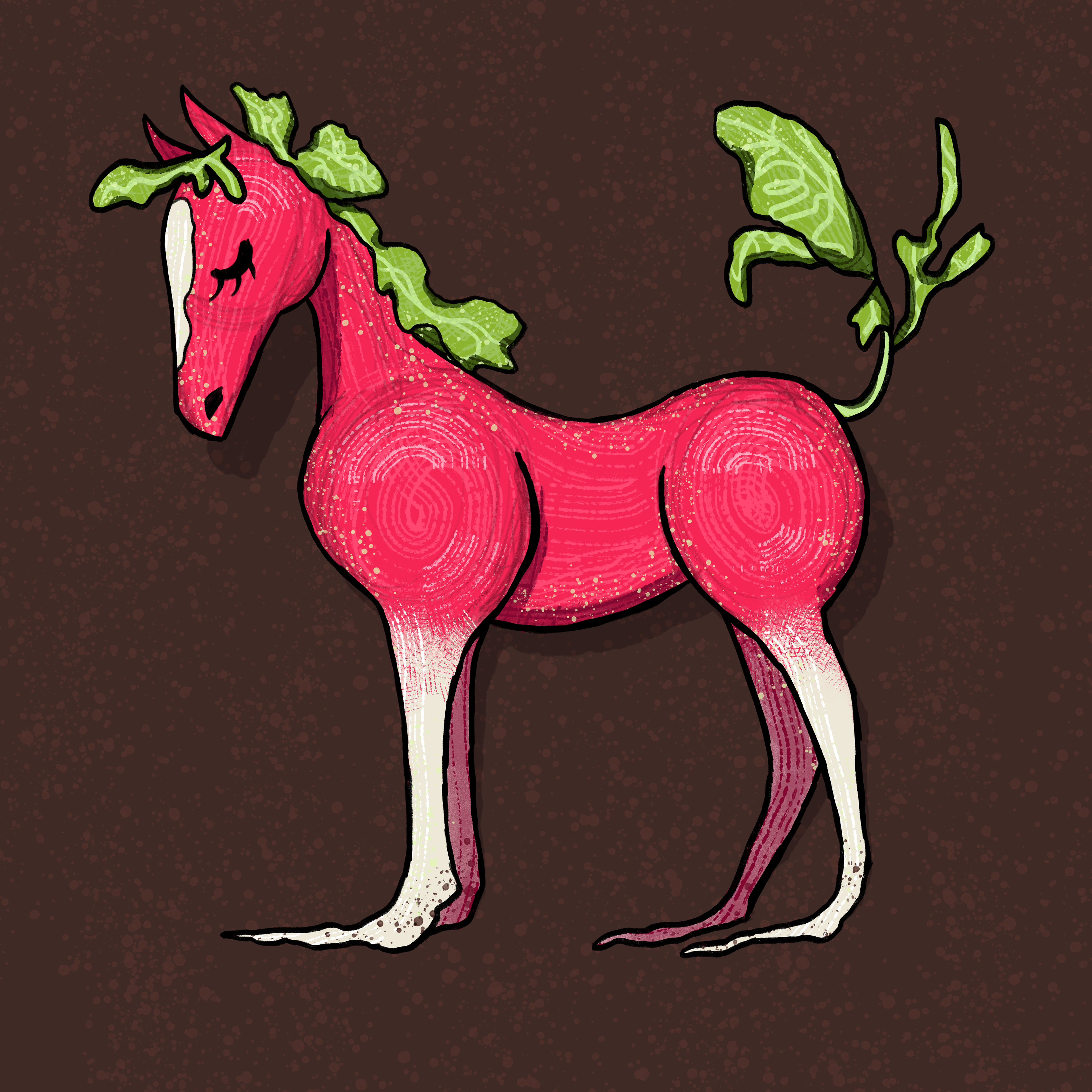 Horseradish Illustration