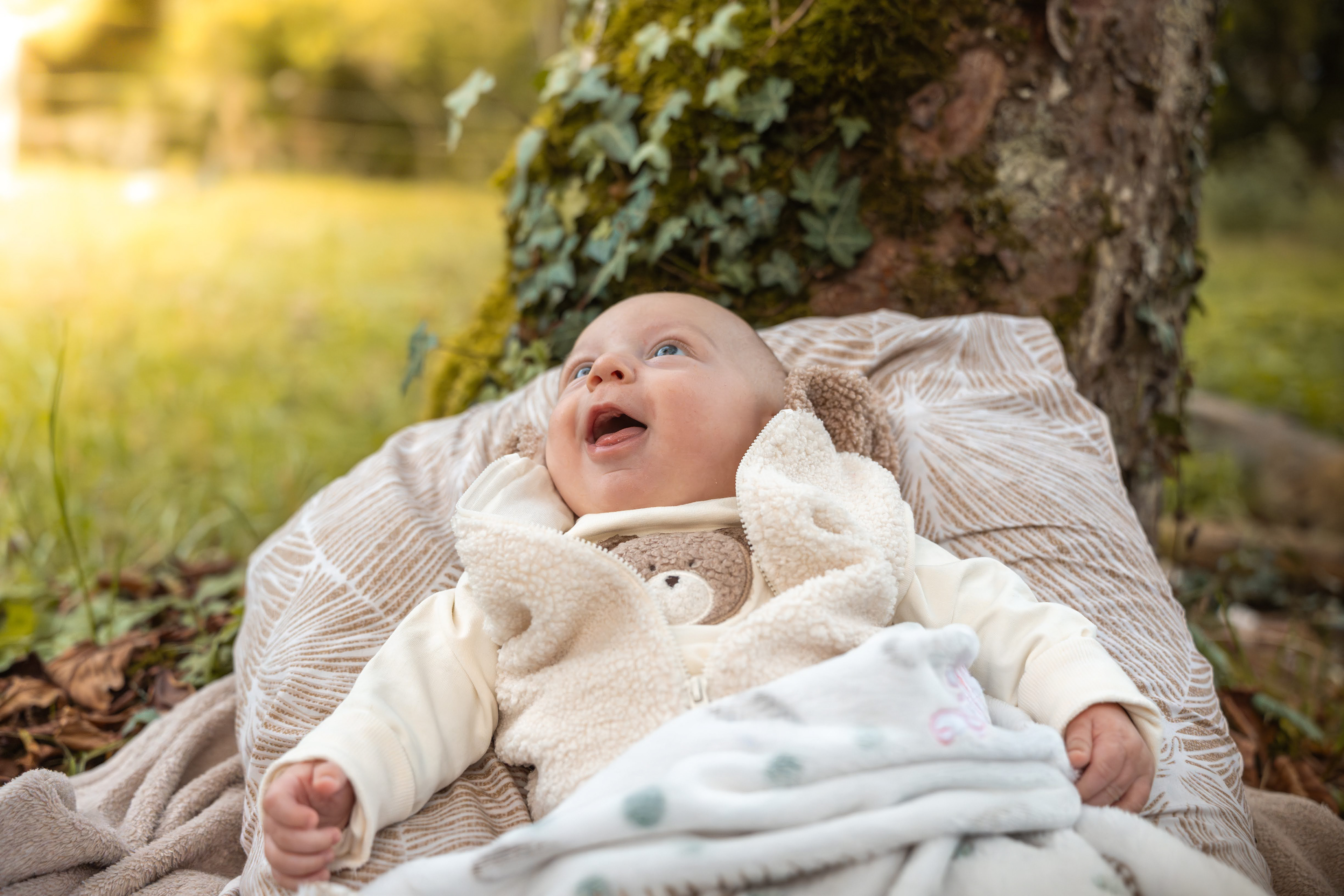 Non il n'est pas tombé de l'arbre
