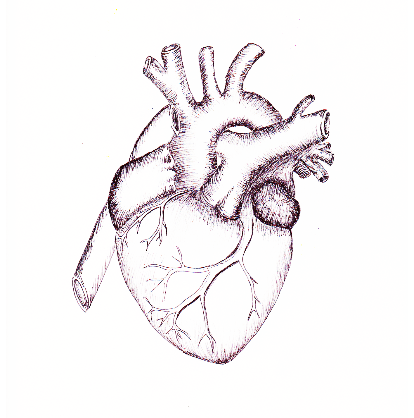 Heart in black pen