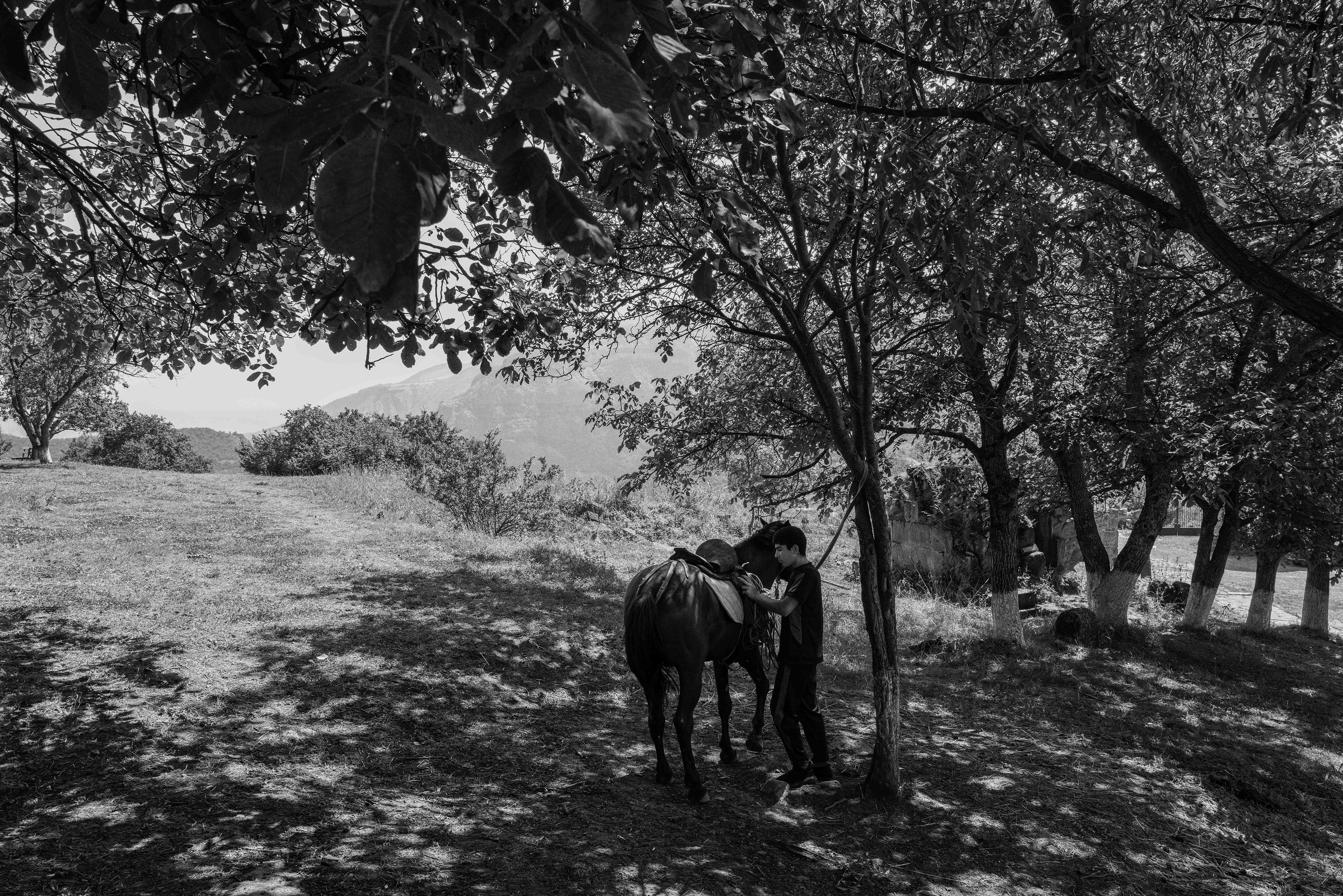 A boy adjusts the saddle on his horse. Armenia 2024.