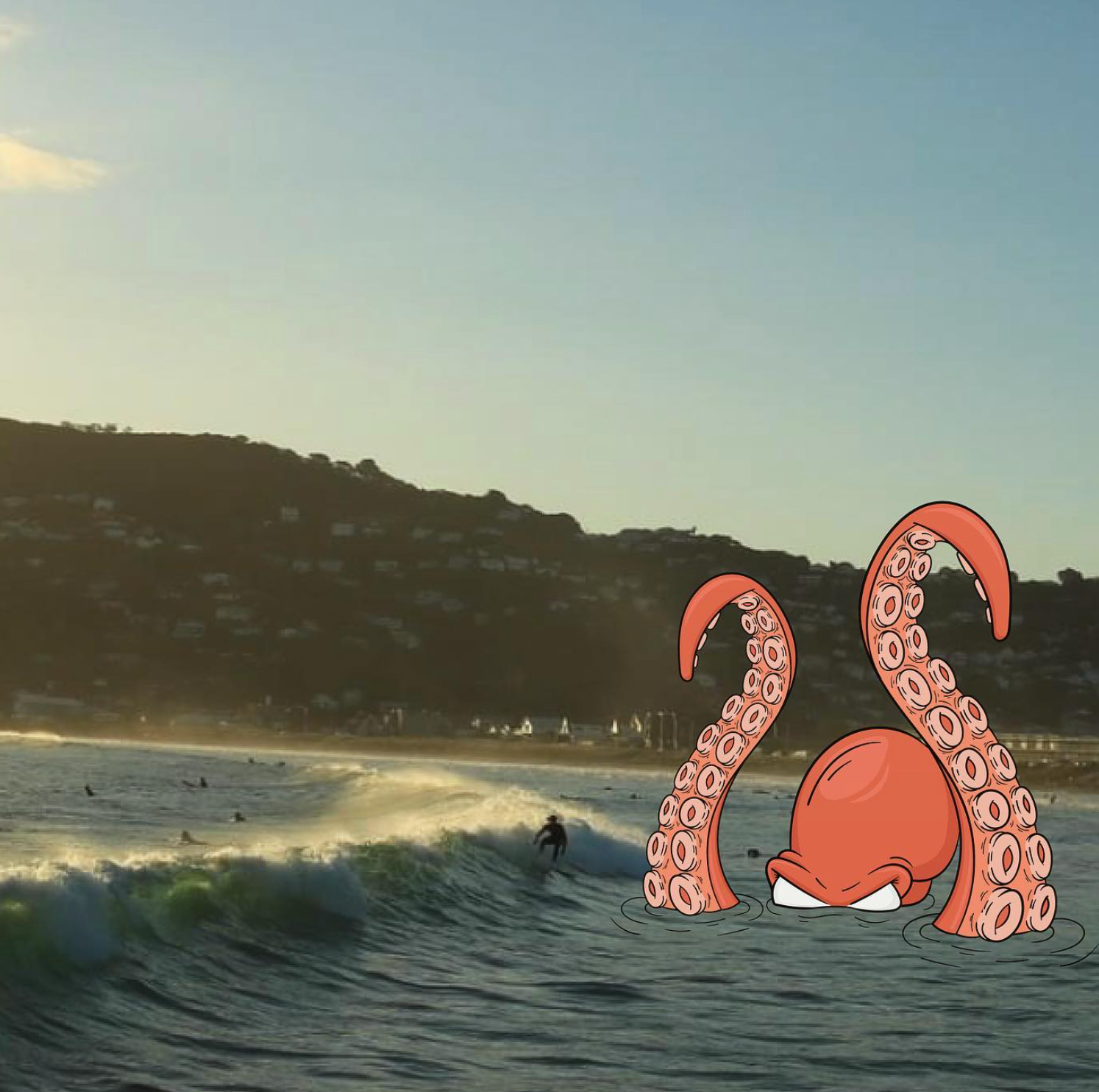 That's me catching a wave at my local spot, Lyall Bay!