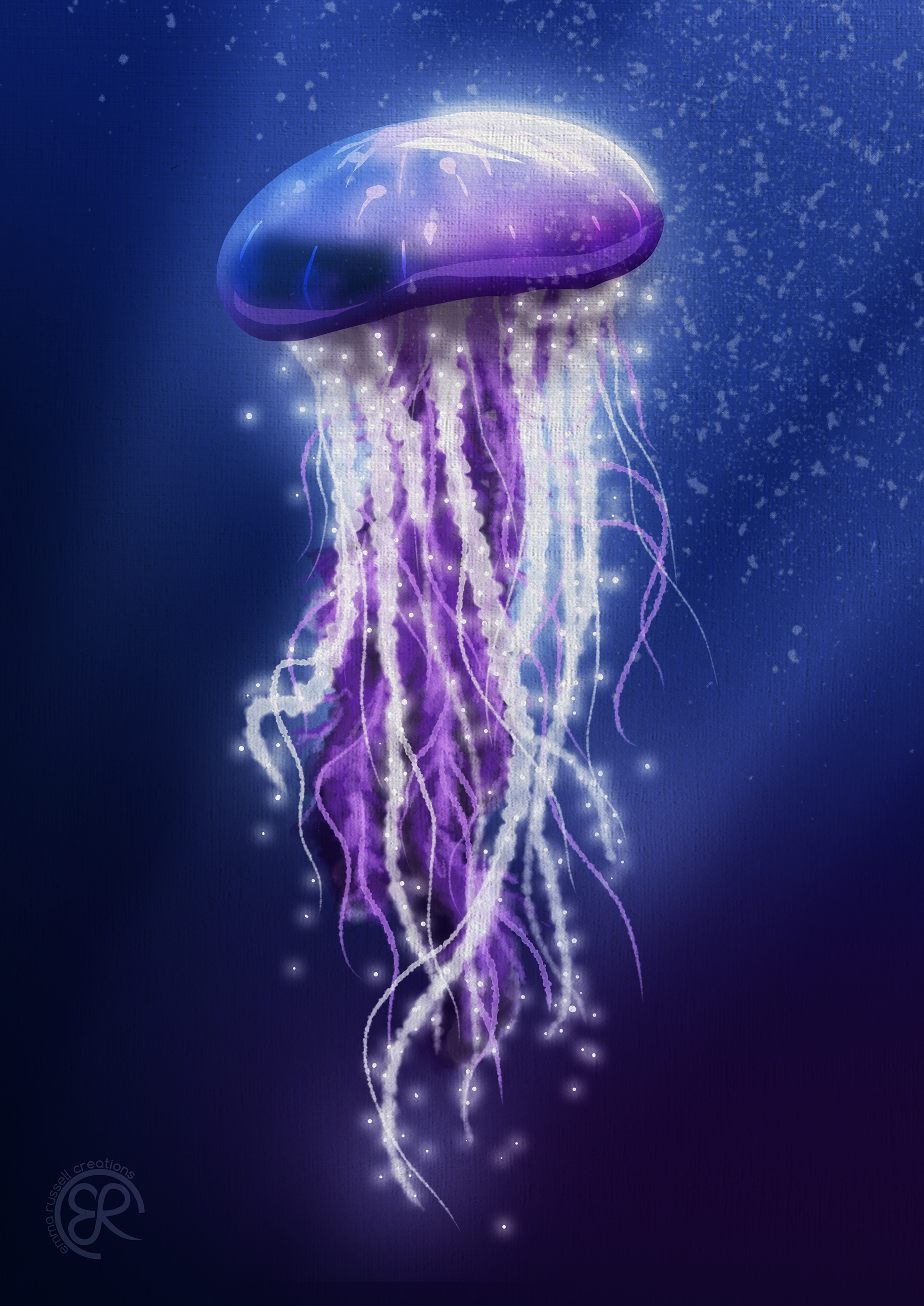 Jellyfish