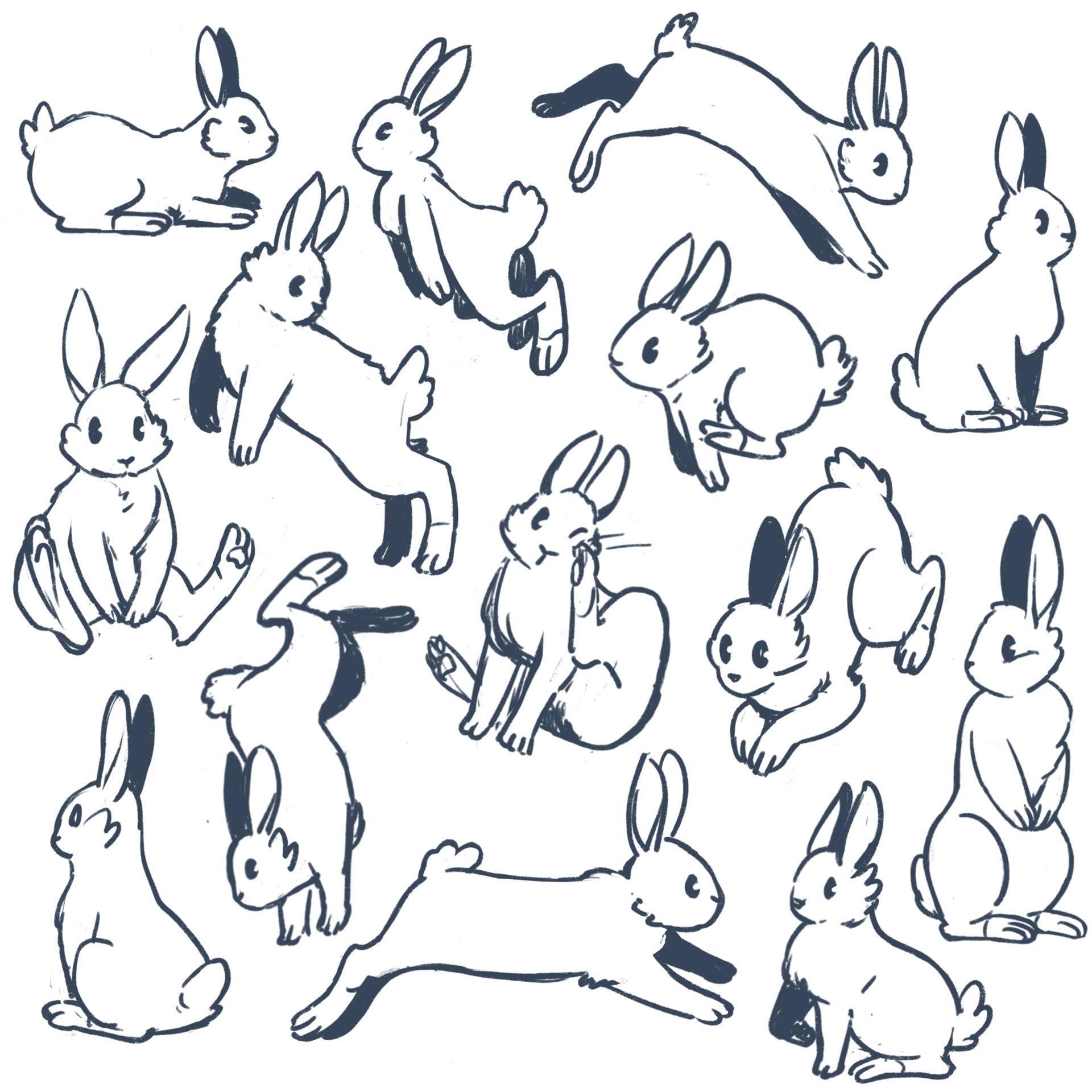 Preliminary bun pattern