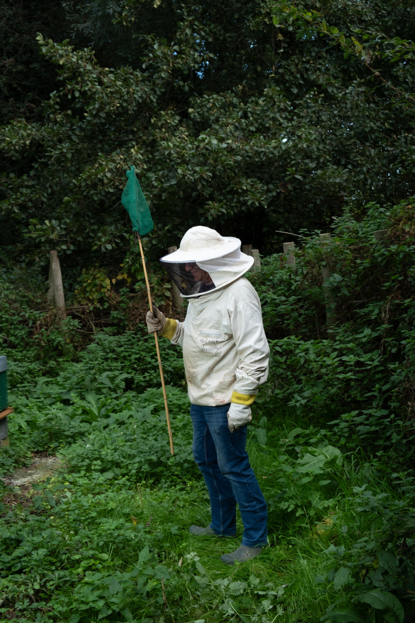 Roland Vasseur / apiculteur / Ardres / 10 oct 2023 Avec mon collègue on se relaie tous les jours en ce moment pour tuer les frelons asiatiques. Vous voyez les abeilles se mettent en grappe à l'entrée de la ruche pour se défendre. Là, il y en a un qui se met en vol stationnaire... Il vient d'en attraper une ! Il n'y en avait pas autant l'année dernière, hier on en a attrapé 125, on a rempli un bocal avec. Bon, ça a l'air de se calmer.