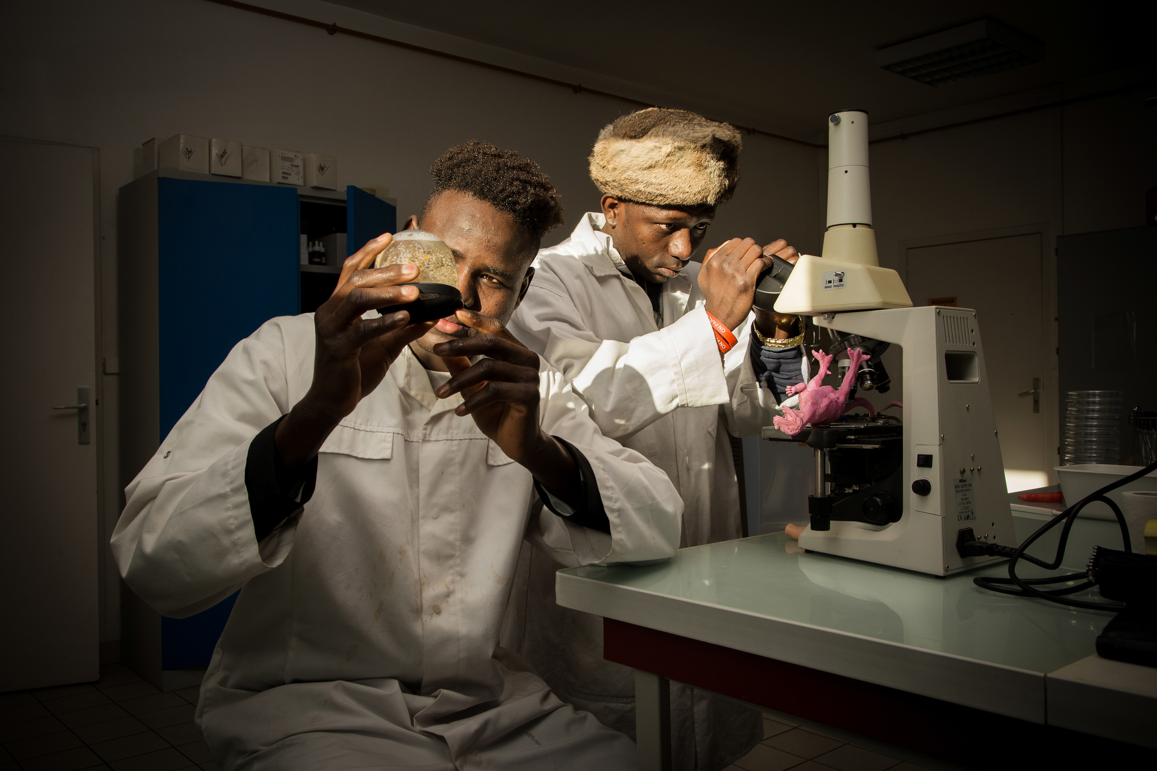 Chercher la petite bête.