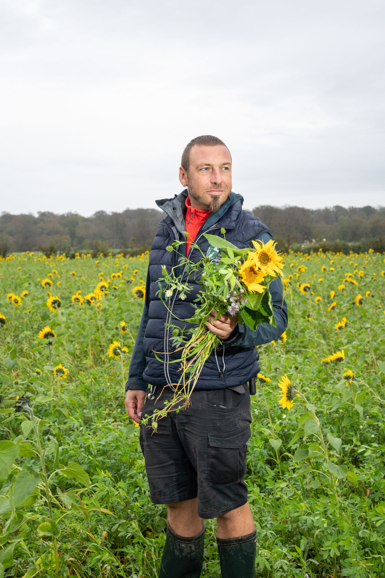 Christophe Eblagon / animateur agroécologie et lutte contre l’érosion des sols Parc Naturel des Caps et Marais d’Opale et Symvahem L'idée c'est de ne pas avoir de terre à nu, par exemple ici c'est un couvert d'interculture diversifié, c'est un couvert qu'on sème un jour après avoir récolté le blé. J'anime un programme de lutte contre l'érosion et le ruissellement. J'accompagne des agriculteurs volontaires dans cette démarche vers un changement de pratiques. C'est de l'agro-écologie, on tend à la conservation des sols. Ça passe par une rotation raisonnée des cultures, moins de labour des sols et une couverture végétale. Les plantes rendent différents services écosystémiques jusqu'à la prochaine implantation. Là dans le bouquet il y a du trèfle, de la vesce, du tournesol et de la phacélie.