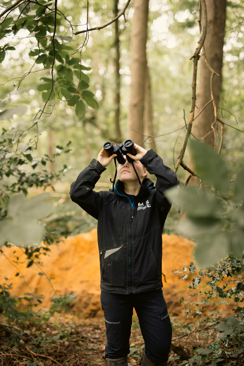 Amélie Daigurande / chargée de mission Natura 2000 Massif forestier du Haut Bray, Savignies. Ici, il y a un chantier de canalisation en eau potable réalisé par le SADE qui traverse la forêt. Le chantier se déroule en septembre pour déranger le moins possible les espèces, les nidifications sont finies. Notre cible, c'est le grand Rhinolophe, une chauve-souris qui vient se mettre dans de toutes petites cavités dans les troncs. Il y a aussi des oiseaux bien sûr. La géomètre a identifié des arbres qui vont être abattus pour le passage des engins. Mon rôle c'est de contrôler ces arbres ciblés, de voir si ils ne contiennent pas d'espèces protégés. Ce sont les arbres avec deux croix jaunes. Sur celui-là je ne vois pas tout, il y a trop de feuillage, à voir si on doit revenir avec une nacelle.