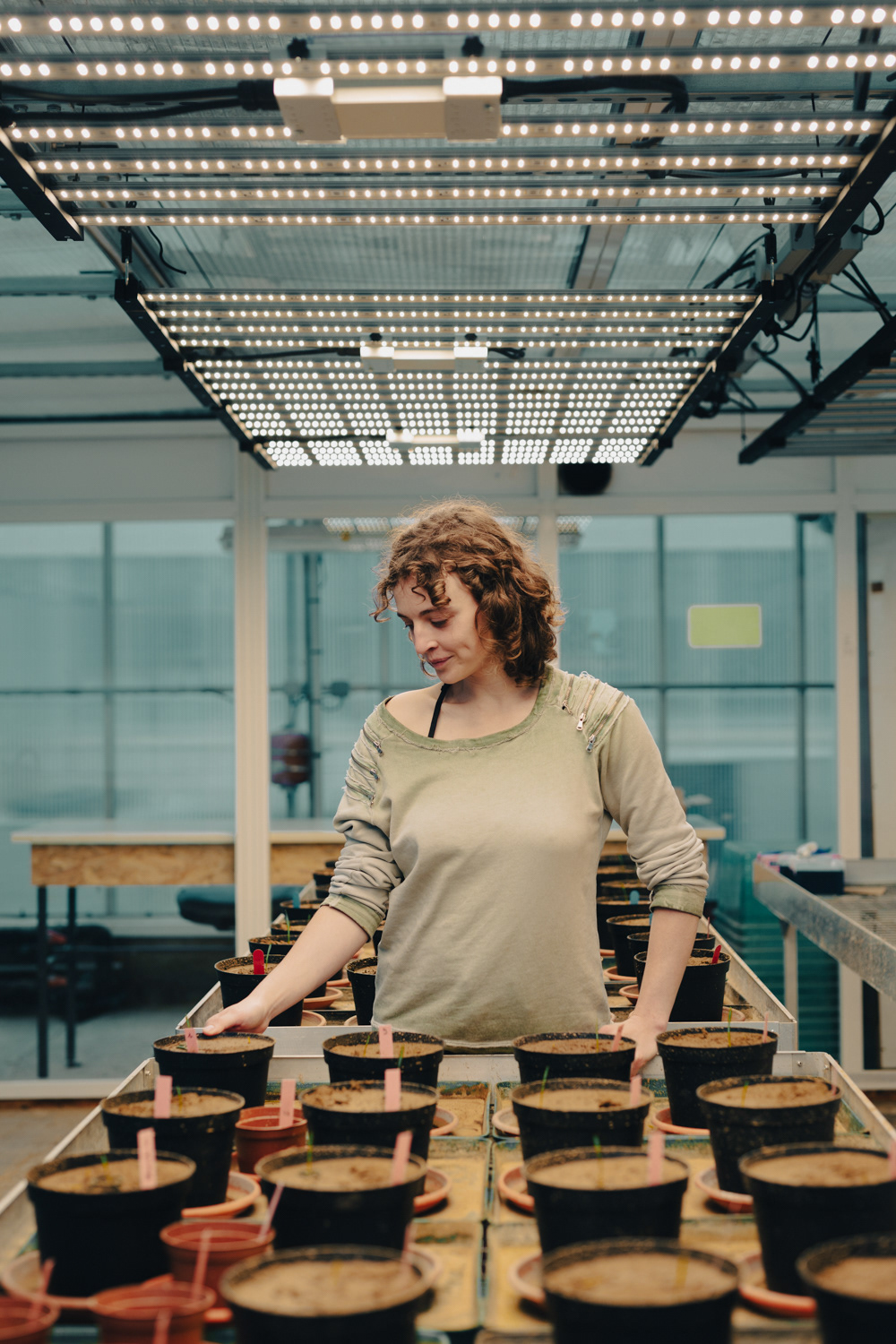 UNILASALLE Vivianne Schelle, doctorante Je suis en train de finaliser une thèse en agroécologie, pour faire simple elle traite de la pluri-culture sur une même parcelle. L'association de cultures apporte une meilleure utilisation de l'eau, de la terre et au final un meilleur rendement. Les plantes sont capables de beaucoup de choses, de par leurs interactions. Je travaille directement dans le champ pour le soja, j'observe sa croissance, notamment en mesurant les racines, puis en labo je teste sa résistance à la sécheresse, au stress. Ce stress rend la plante plus résistante, plus débrouillarde, contrairement aux plantes biberonnées qu'on trouve partout. Ces recherches visent à l'amélioration des ressources, à l'échelle de la parcelle et sur un environnement plus large. L'agriculture, c'est le problème de tout le monde, on ne doit pas perdre de vue que son but premier c'est de nourrir tout le monde. L'idée de performance n'est pas forcément négative. La préservation des ressources et l'augmentation de la diversité des cultures et leur association permettront une stabilité de la production, il faut établir des priorités. L'instabilité climatique augmente les pertes et implique des pratiques et des plantes plus adaptées. Je suis d'une génération qui a toujours vécu cette urgence écologique, je crois que pour mettre en place ces nouvelles pratiques, il faudra surmonter des difficultés économiques et aller à l'encontre d'un modèle qui se perpétue. Je pense qu'il faut renouer le lien avec les agriculteurs et relier les aspects théoriques et pratiques.